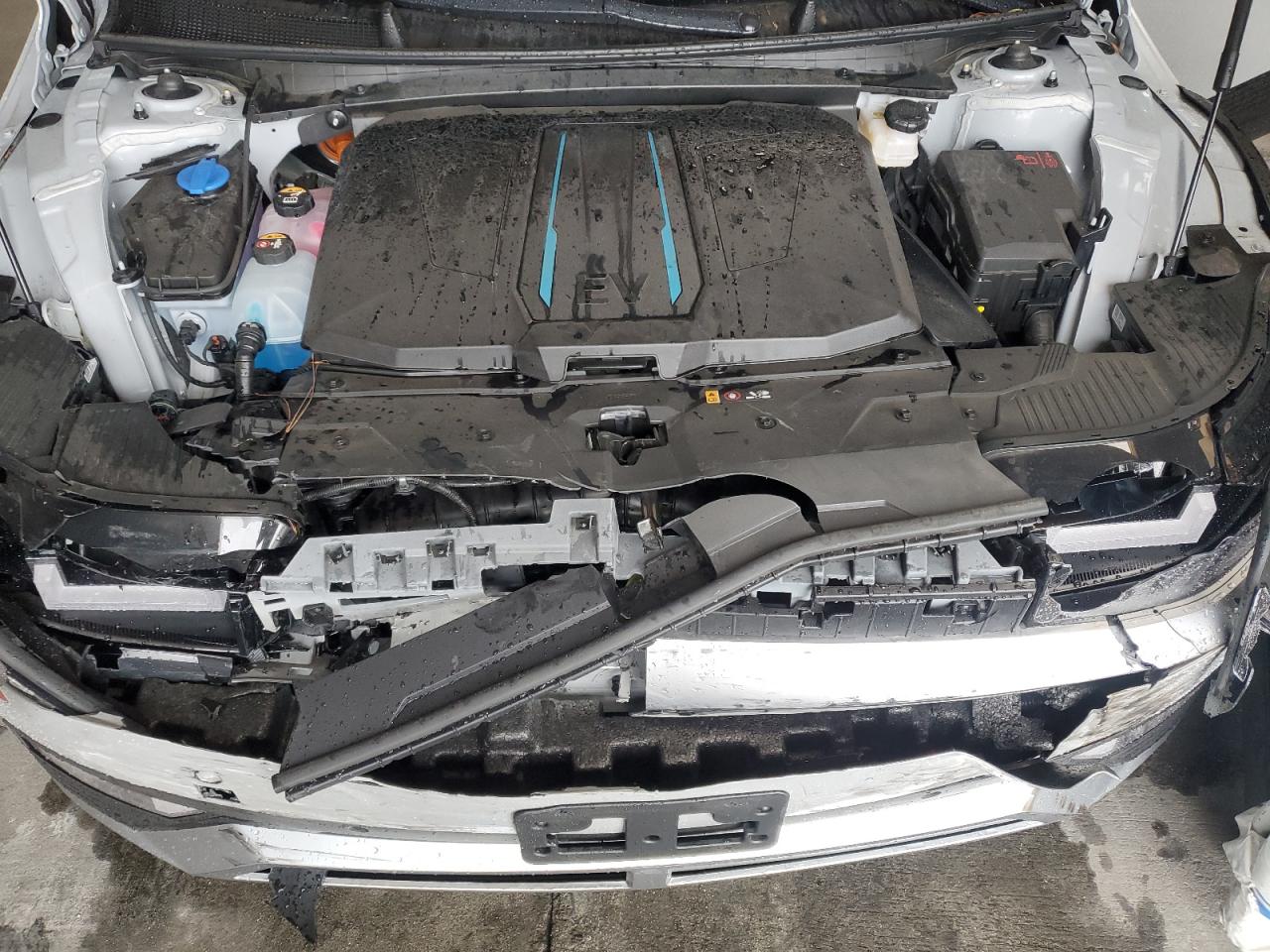 2024 Hyundai Ioniq 5 Sel VIN: KM8KN4DE4RU299565 Lot: 82498255