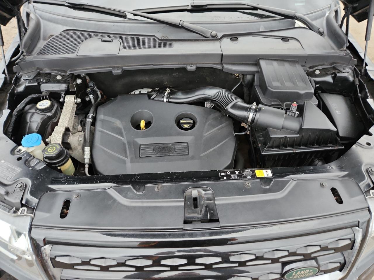 2013 Land Rover Lr2 Hse VIN: SALFR2BG7DH339909 Lot: 85827795