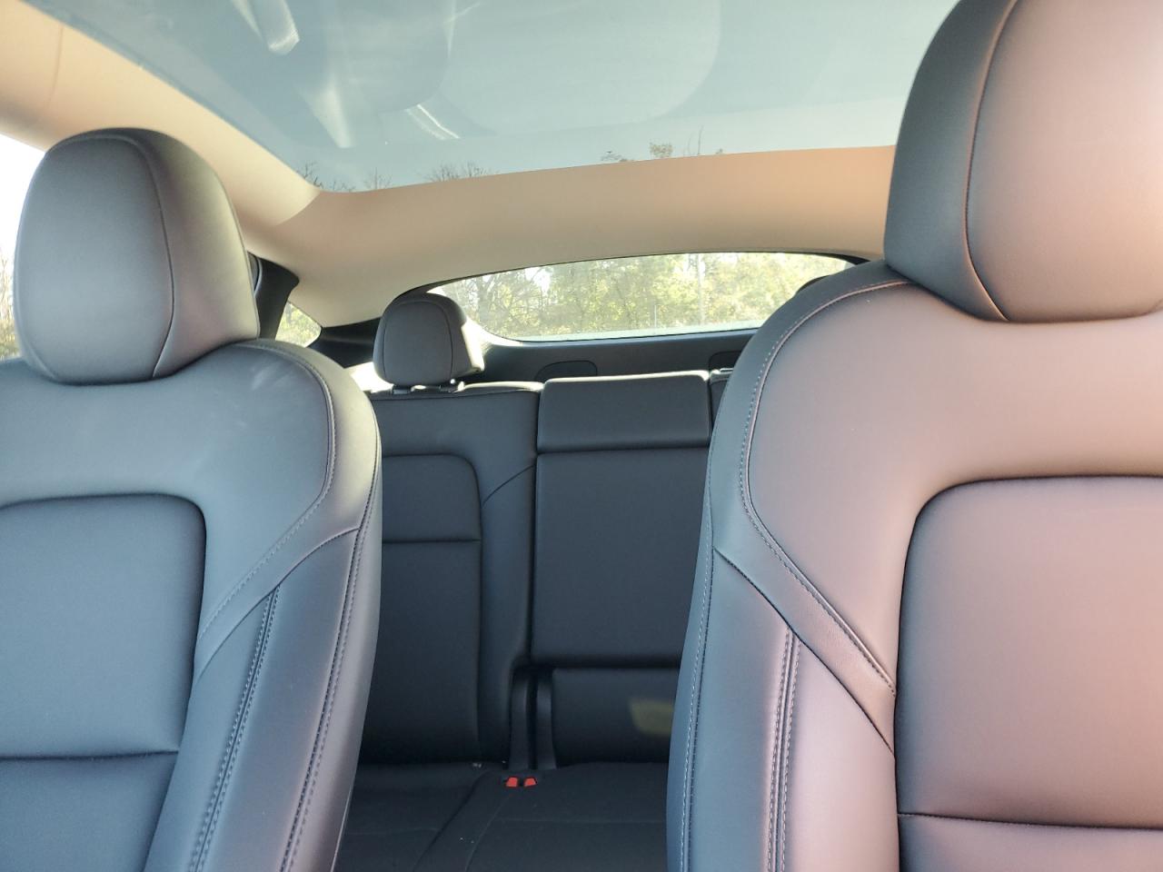 2024 Tesla Model Y VIN: 7SAYGDEF2RA272325 Lot: 80788545