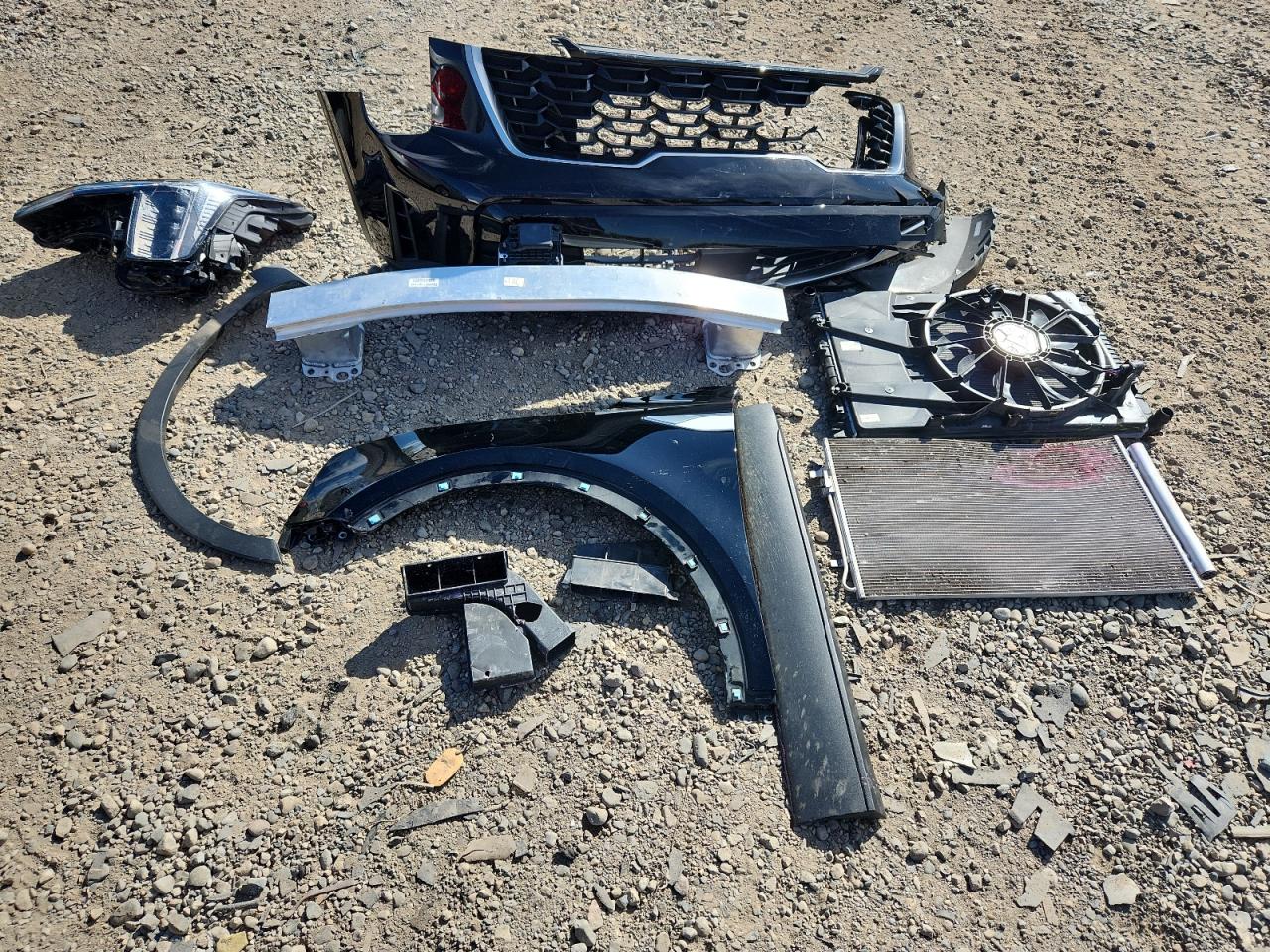 2024 Kia Sorento S VIN: 5XYRLDJC3RG264402 Lot: 82380915