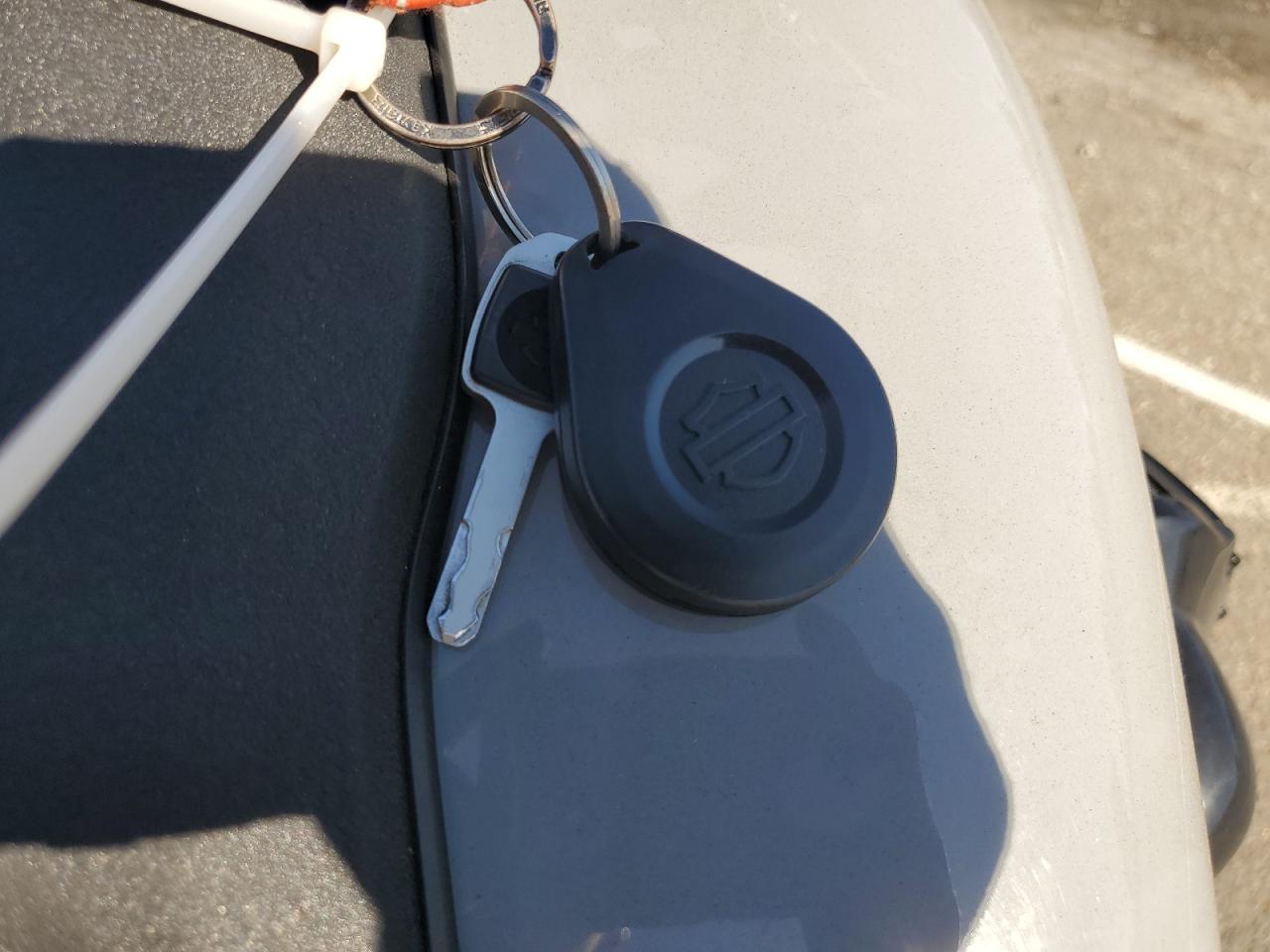 2024 Harley-Davidson Fxlrs VIN: 1HD1YWZ21RB023906 Lot: 82498675