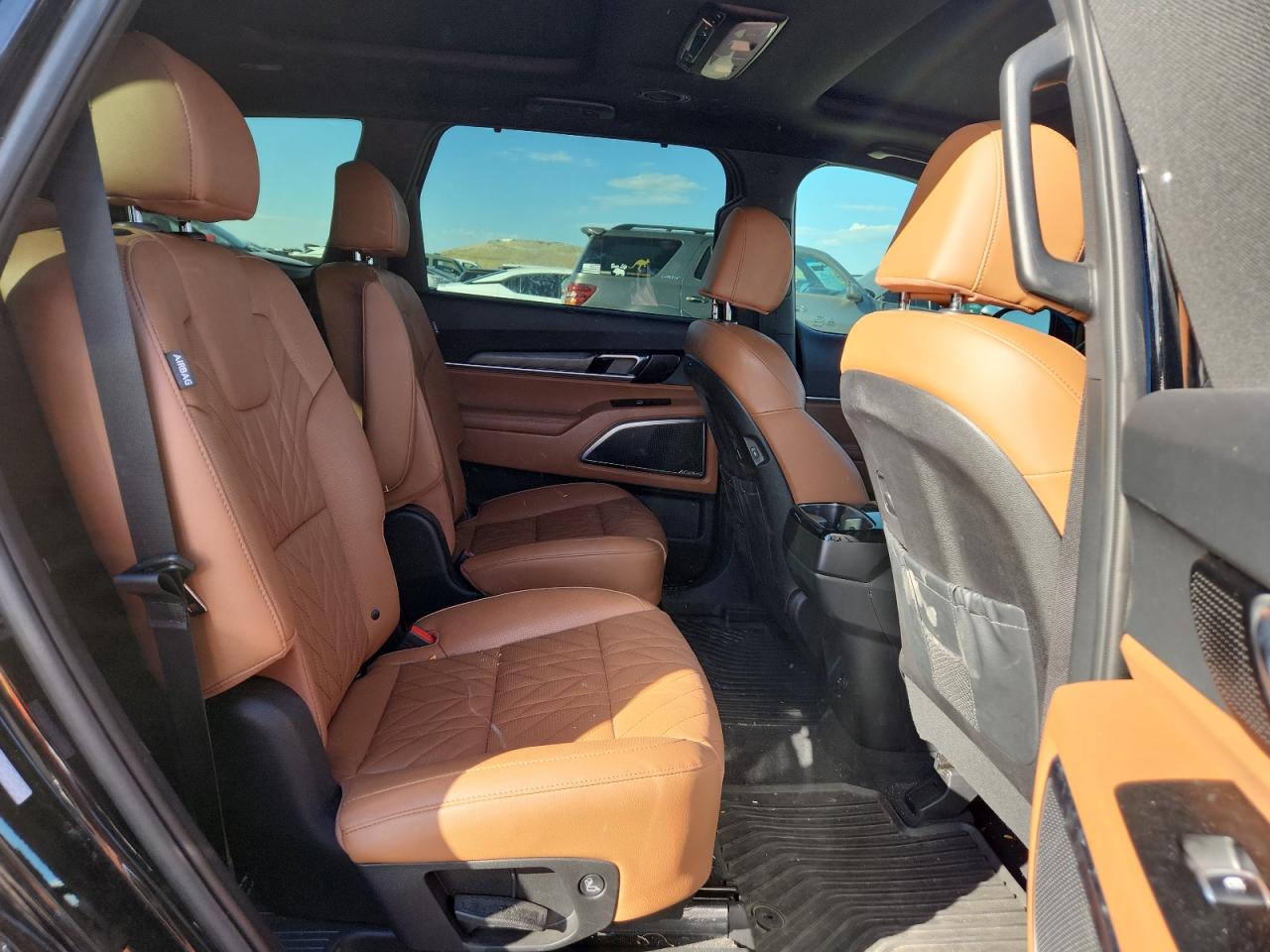 2024 Kia Telluride Sx VIN: 5XYP5DGCXRG452536 Lot: 85386255