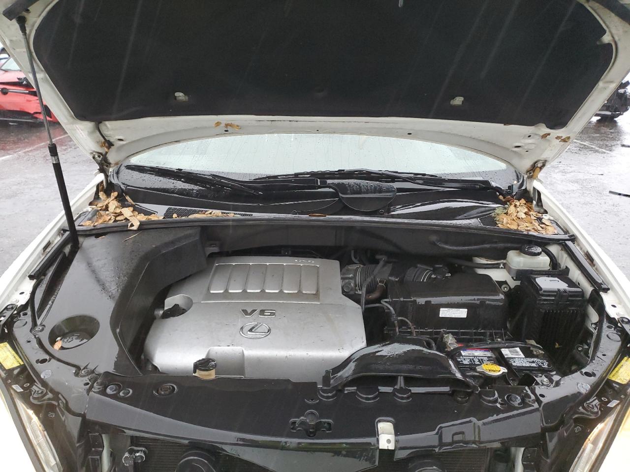 2007 Lexus Rx 350 VIN: JTJGK31U070008411 Lot: 86189305