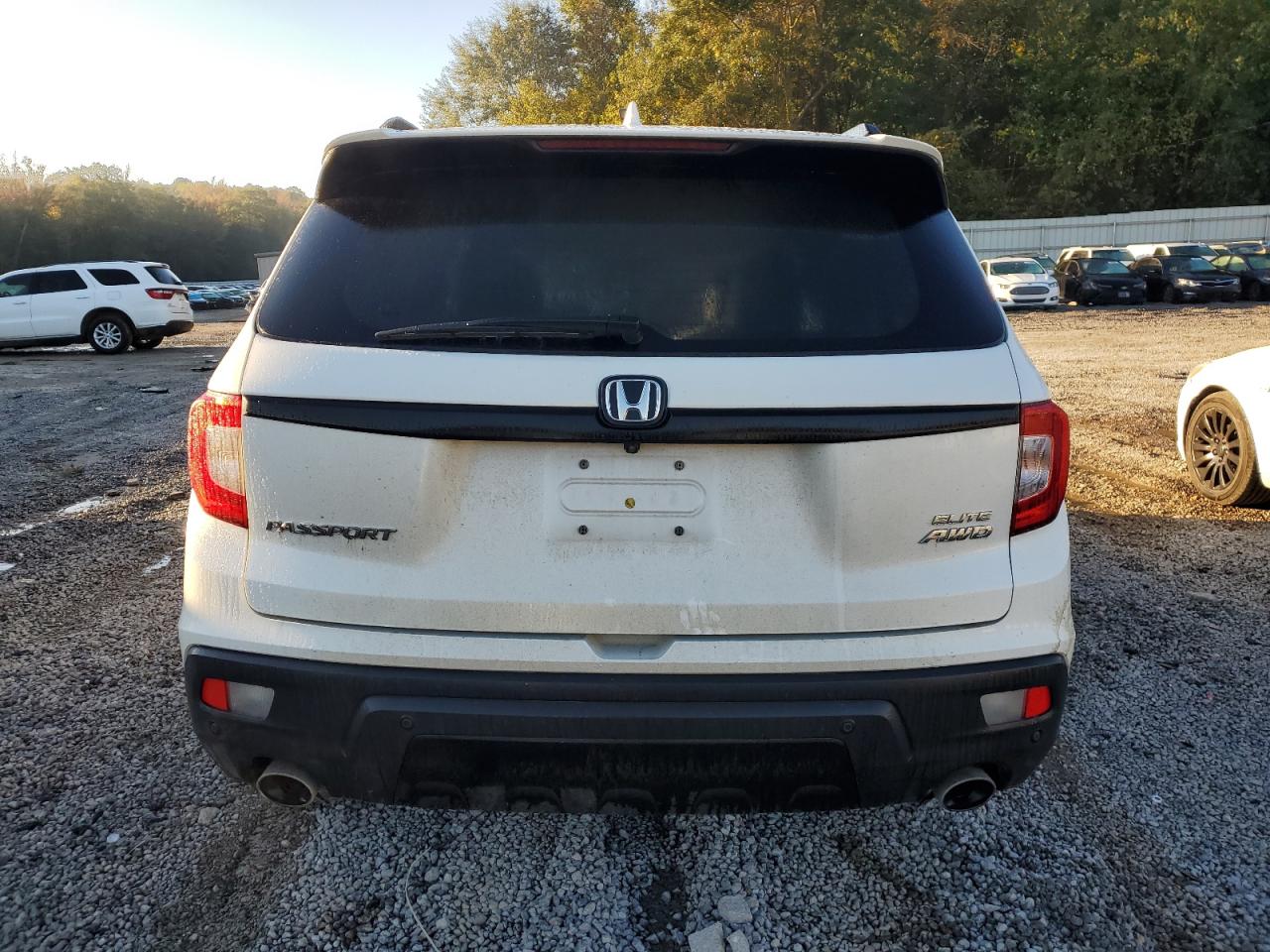 2019 Honda Passport Elite VIN: 5FNYF8H07KB027513 Lot: 90889505