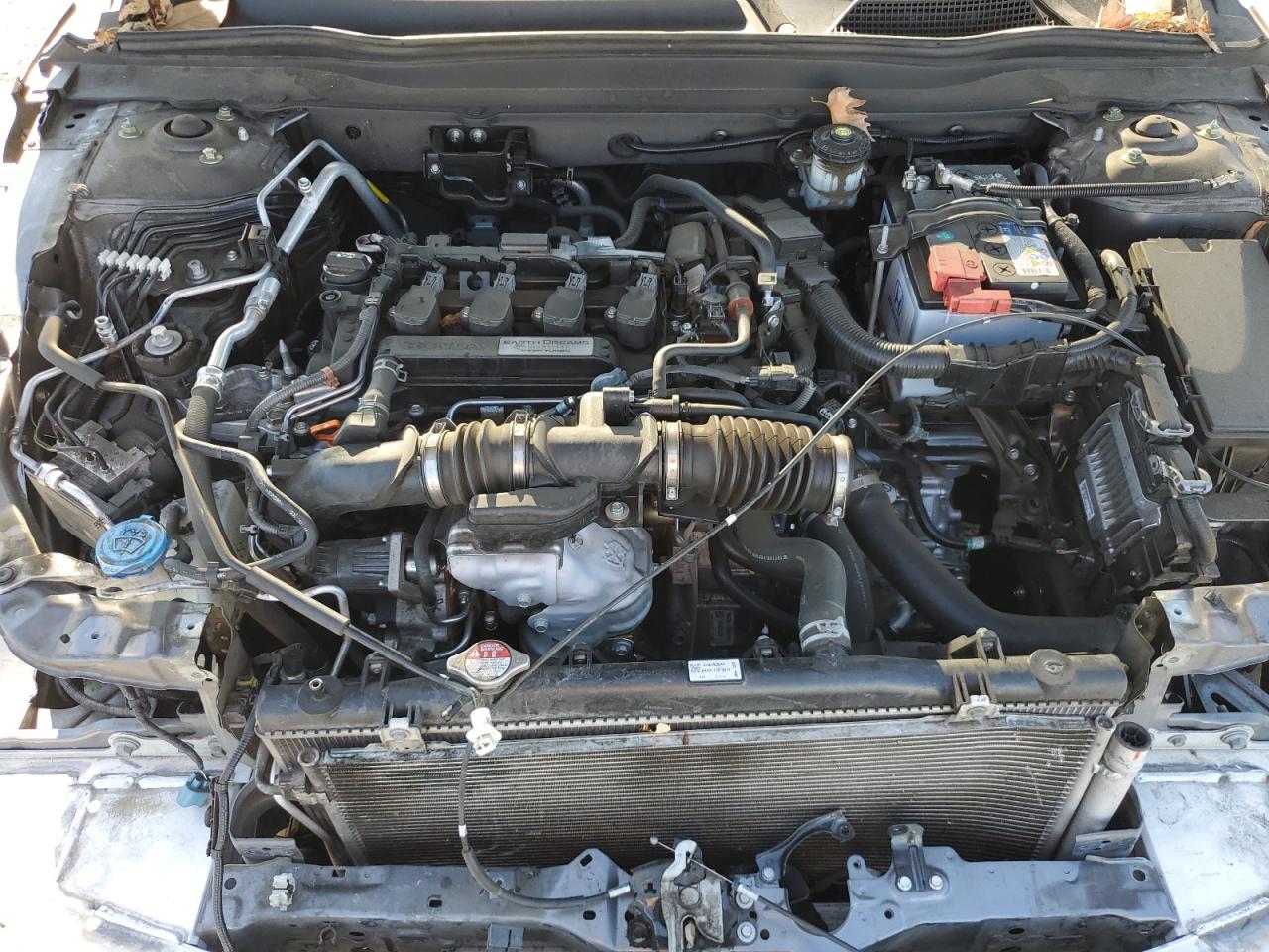 2019 Honda Accord Exl VIN: 1HGCV1F59KA078184 Lot: 85576985