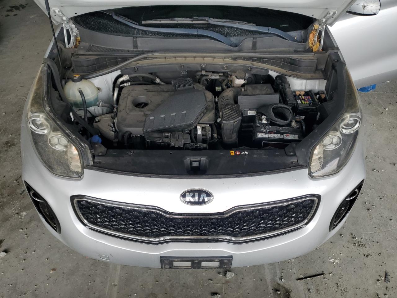 2017 Kia Sportage Lx VIN: KNDPMCAC1H7276722 Lot: 81890695