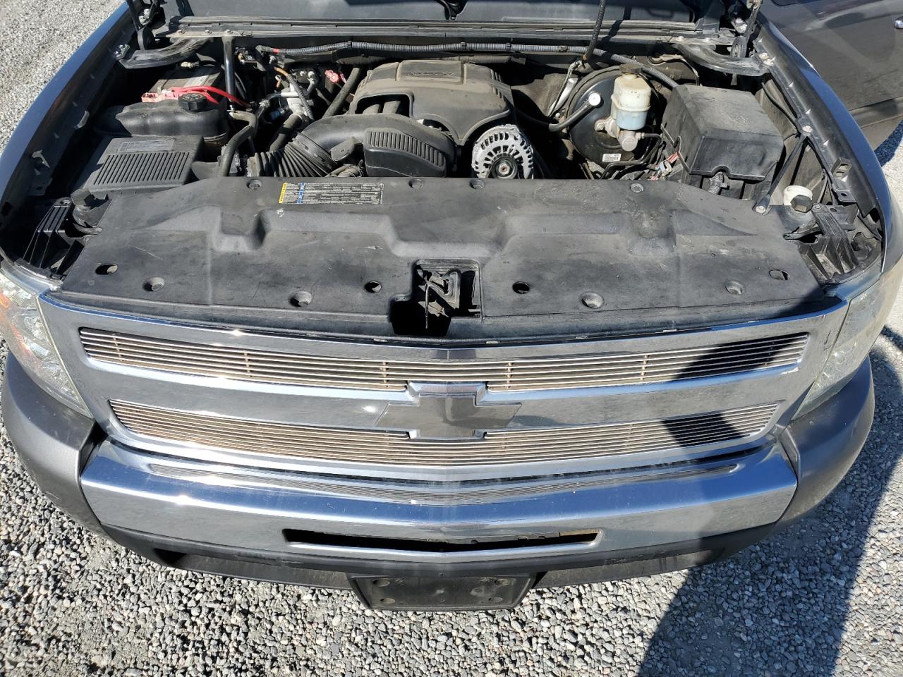 2009 Chevrolet Silverado C1500 VIN: 3GCEC13C99G217404 Lot: 82282295