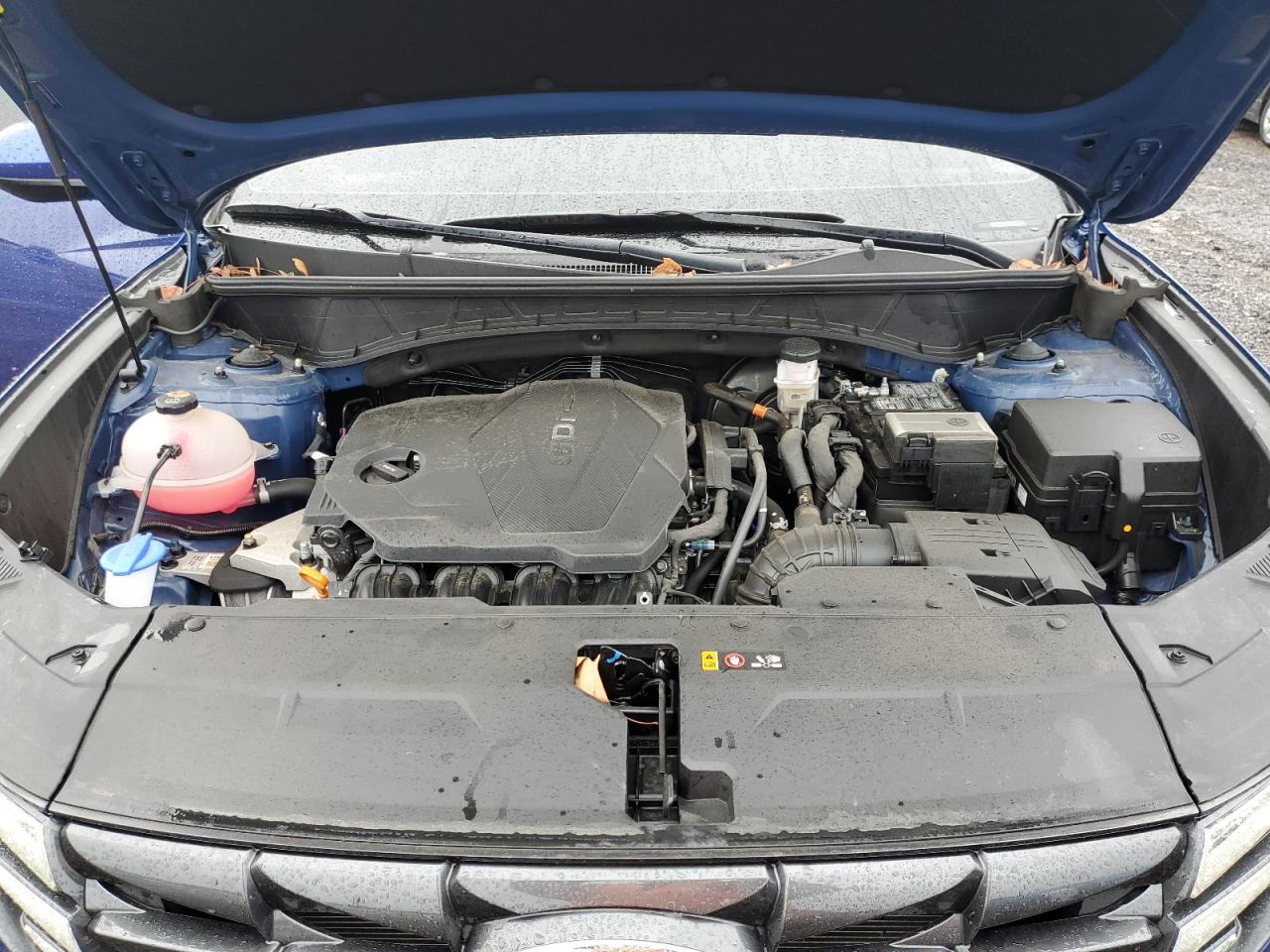 2024 Hyundai Tucson Sel VIN: 5NMJBCDE0RH314301 Lot: 86254955