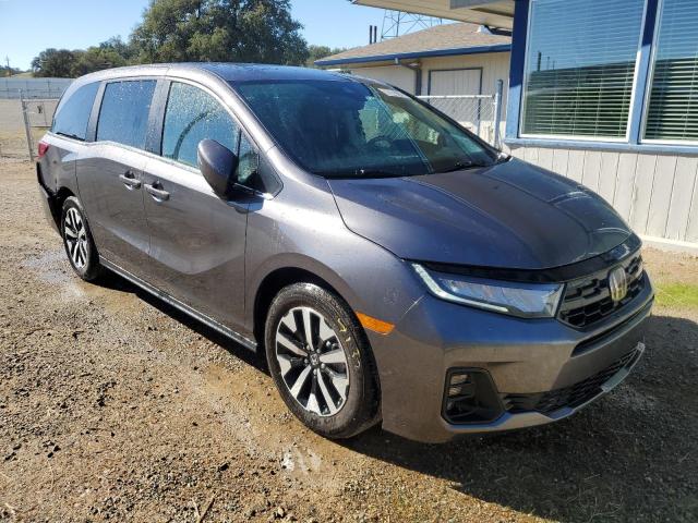  HONDA All Models 2025 Серый