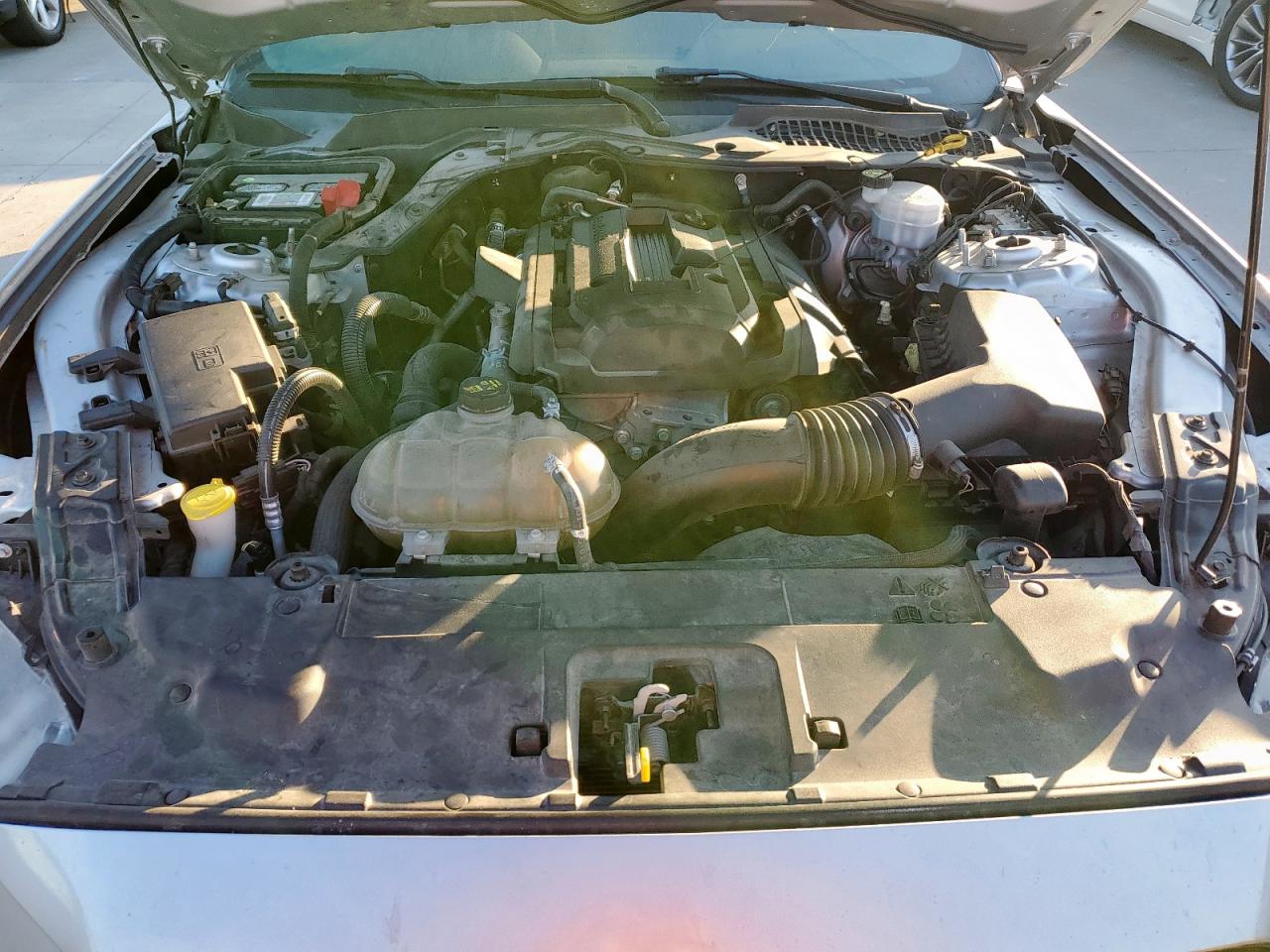 2019 Ford Mustang VIN: 1FA6P8TH6K5157825 Lot: 86313395