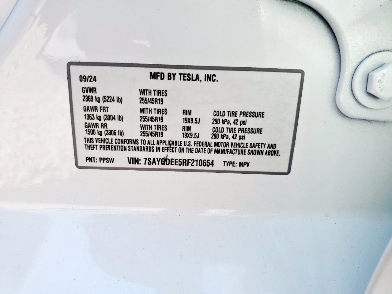 2024 Tesla Model Y VIN: 7SAYGDEE5RF210654 Lot: 84984795