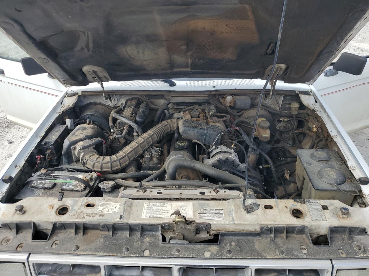 1991 Ford Ranger VIN: 1FTCR10A8MUC86289 Lot: 81935765