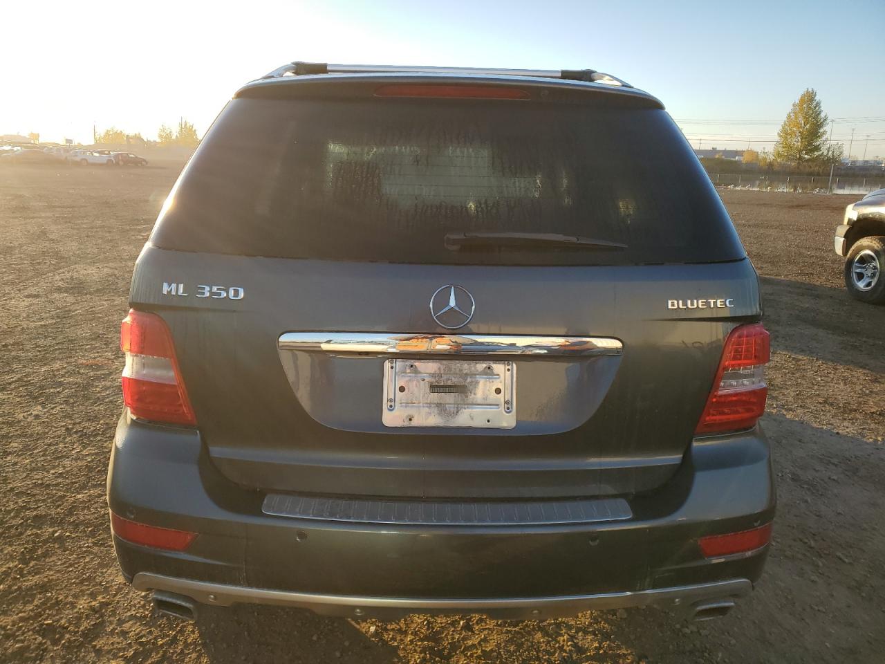 2010 Mercedes-Benz Ml 350 Bluetec VIN: 4JGBB2FB7AA595718 Lot: 82413735