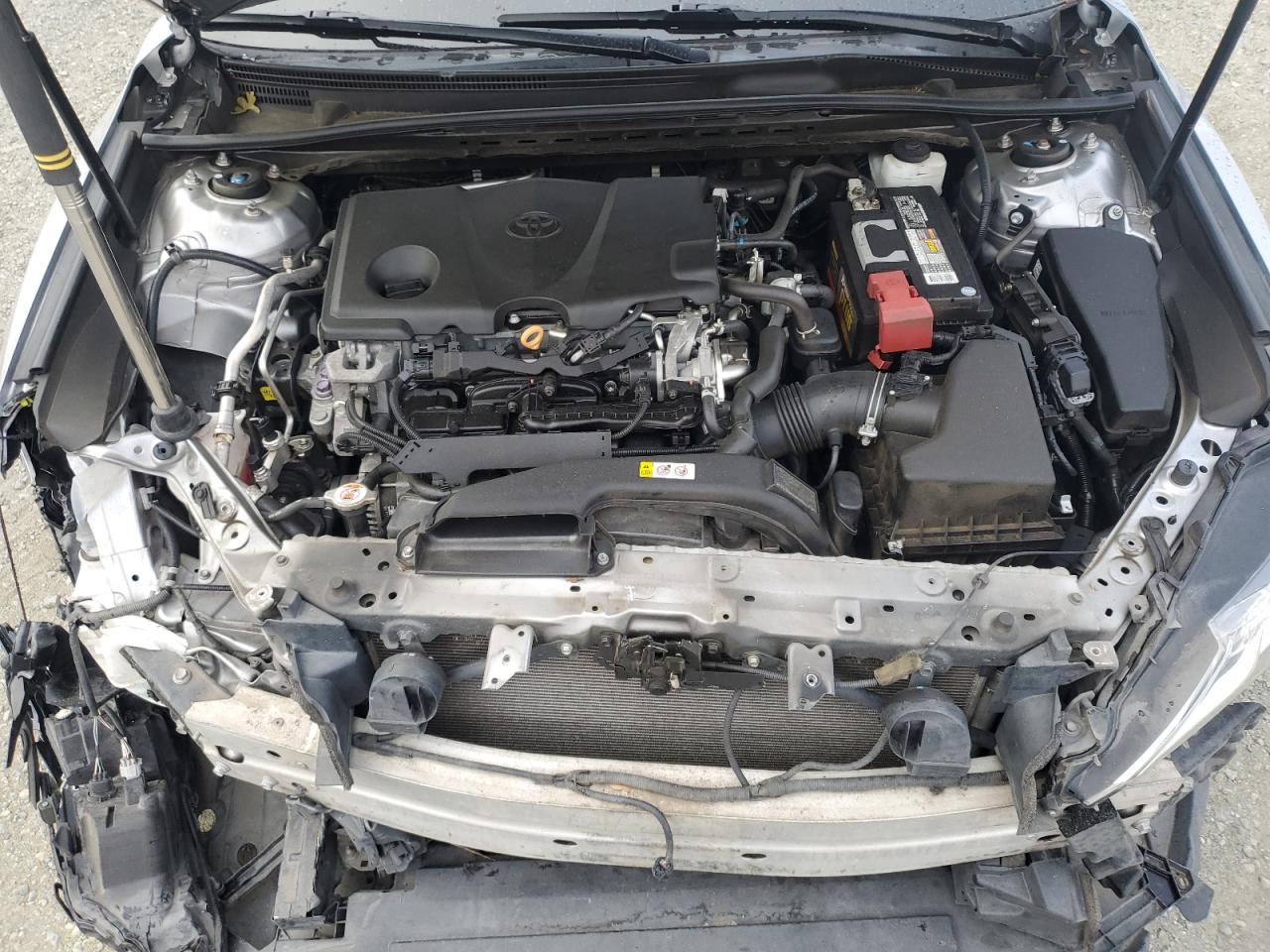 2019 Toyota Camry L VIN: 4T1B11HK3KU683109 Lot: 81903225