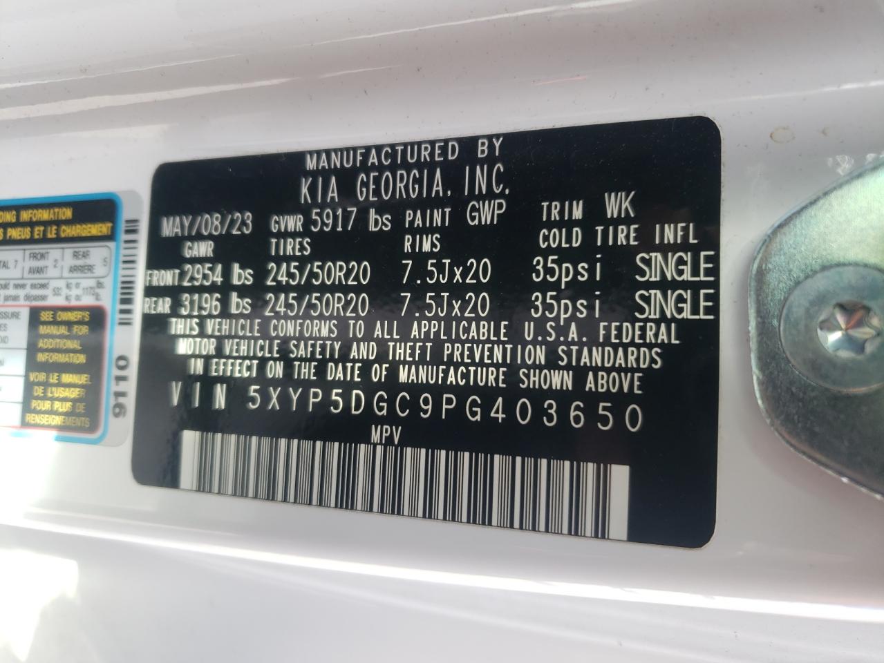 2023 Kia Telluride Sx VIN: 5XYP5DGC9PG403650 Lot: 85864335