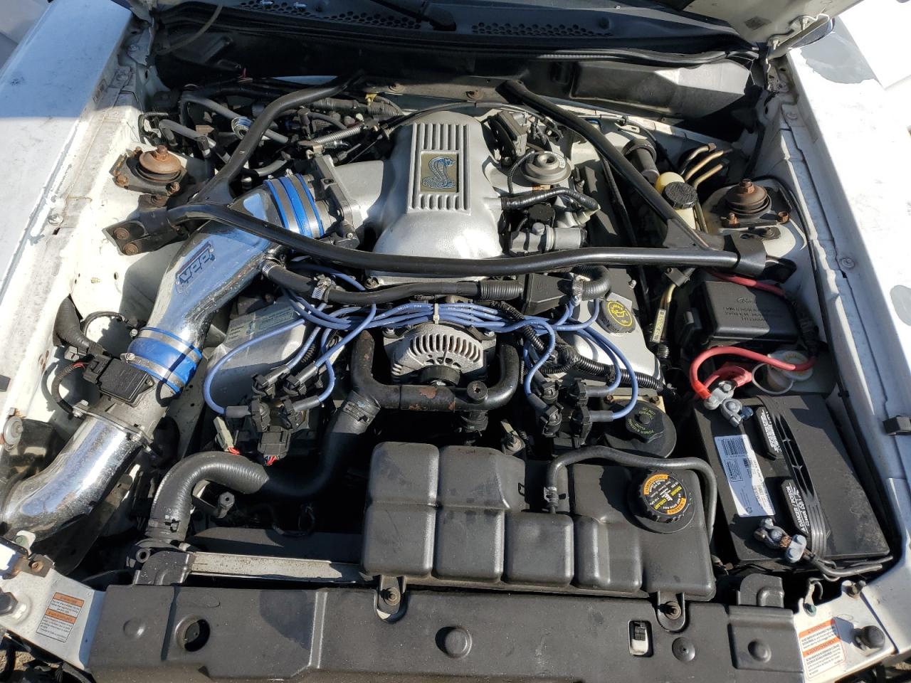 1997 Ford Mustang Cobra VIN: 1FALP47V4VF144694 Lot: 84984915