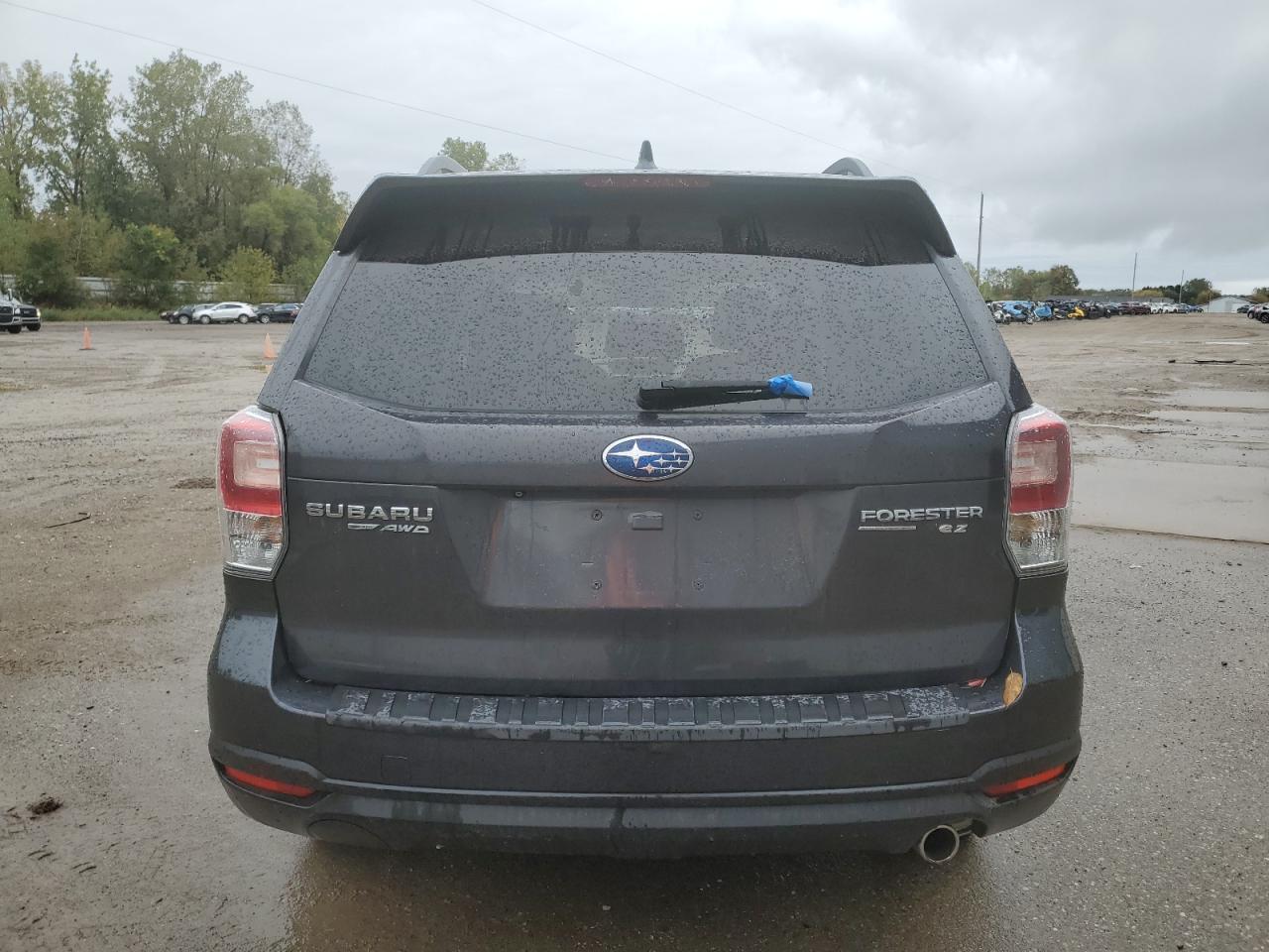 2017 Subaru Forester 2.5I Limited VIN: JF2SJAJC1HH406484 Lot: 62598745