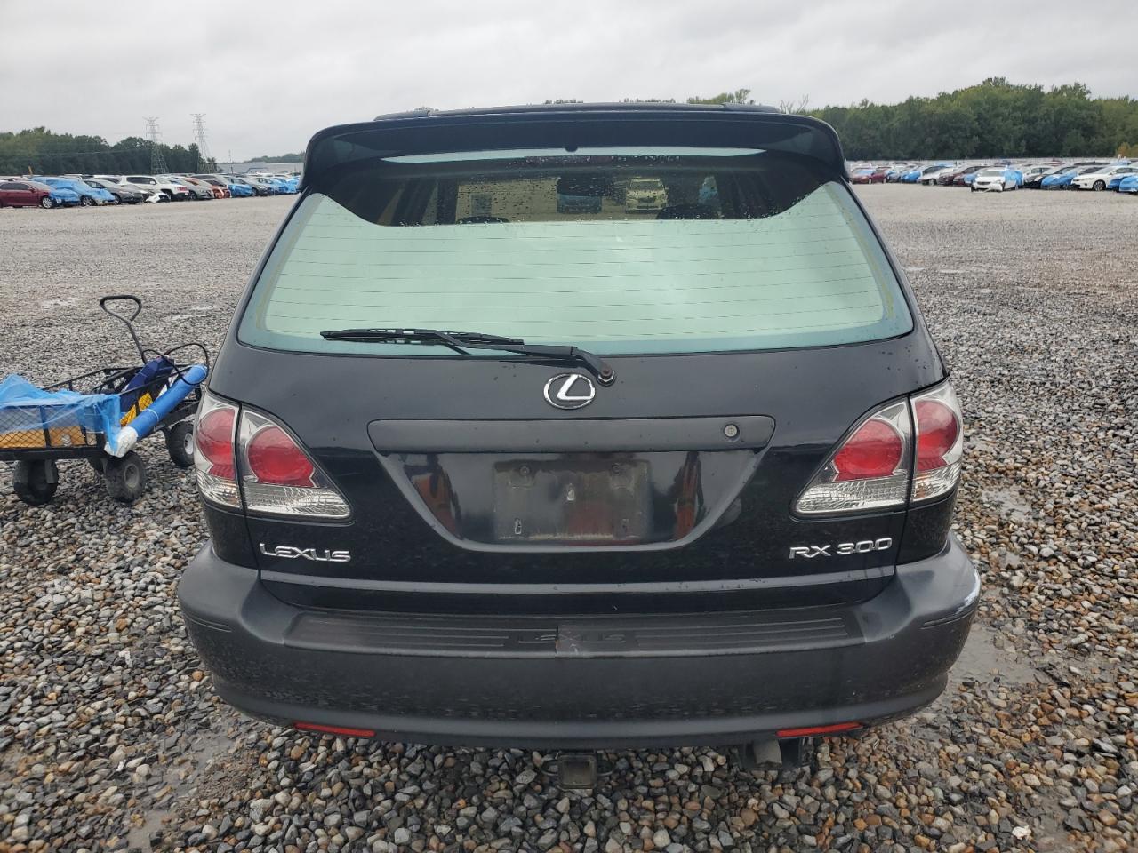 2002 Lexus Rx 300 VIN: JTJGF10U520134346 Lot: 85119505