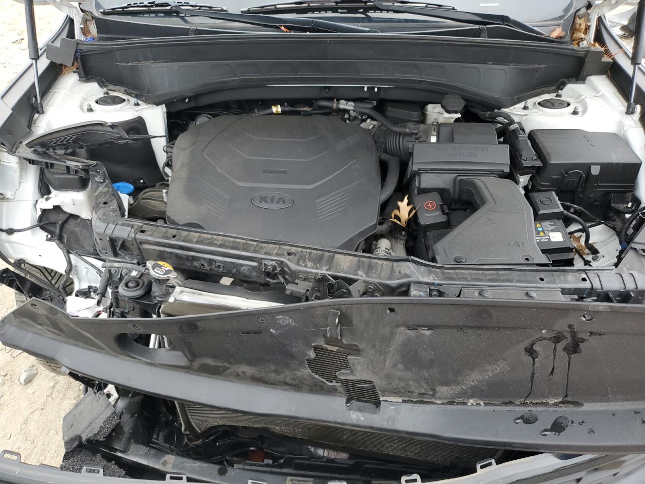 2021 Kia Telluride Ex VIN: 5XYP3DHC8MG158372 Lot: 86091115