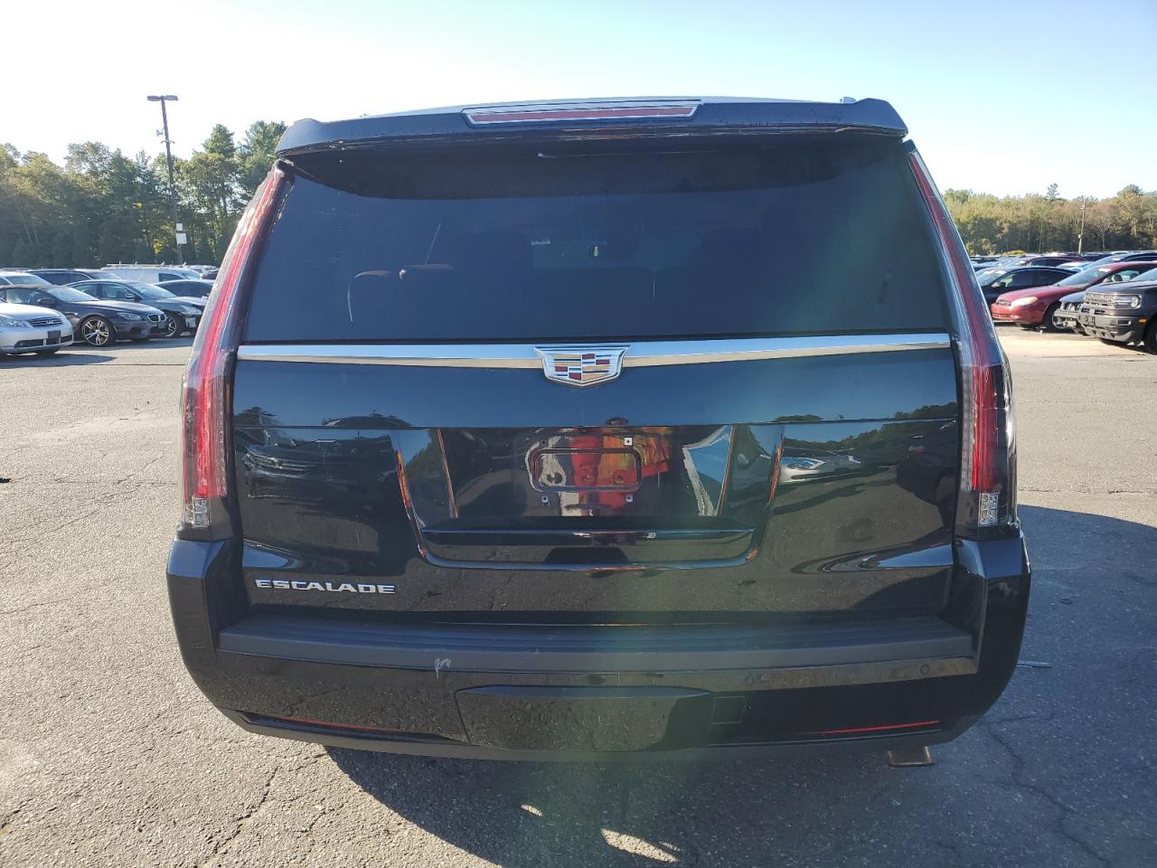 2016 Cadillac Escalade Premium VIN: 1GYS4CKJ2GR296661 Lot: 84545795
