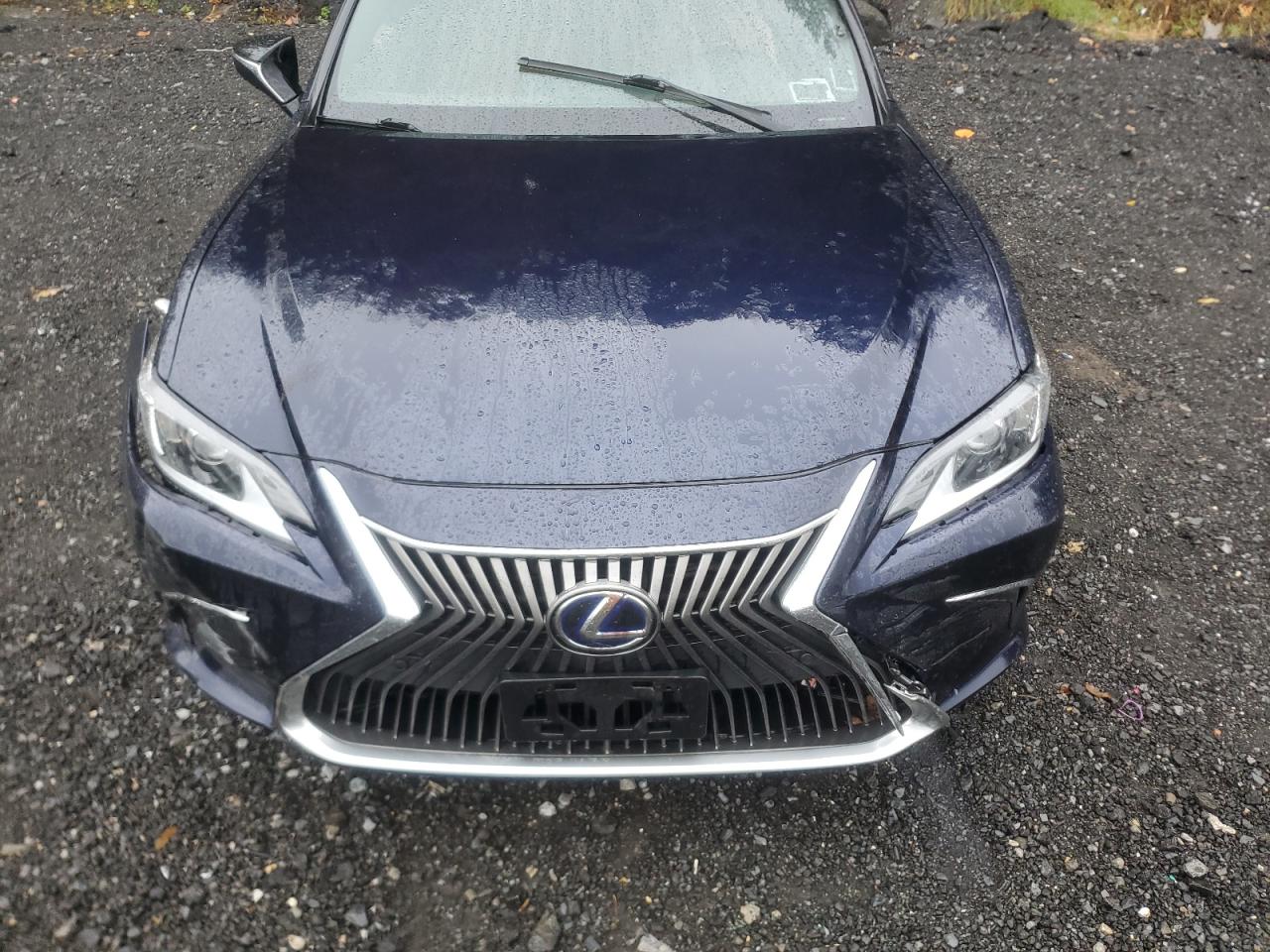 2021 Lexus Es 300H VIN: 58ADA1C13MU004653 Lot: 82255885