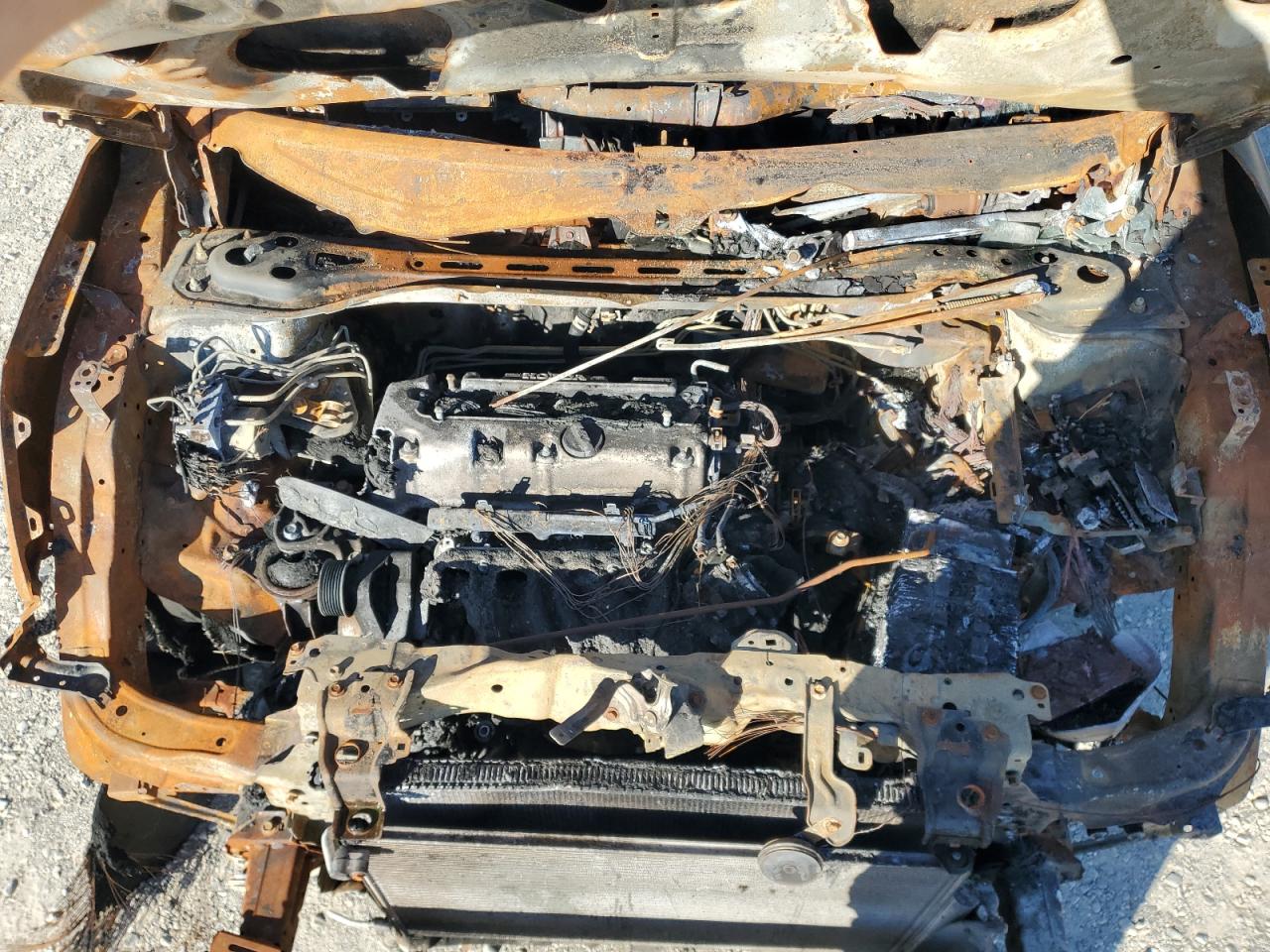 2014 Honda Cr-V Exl VIN: 5J6RM4H75EL086569 Lot: 82435665