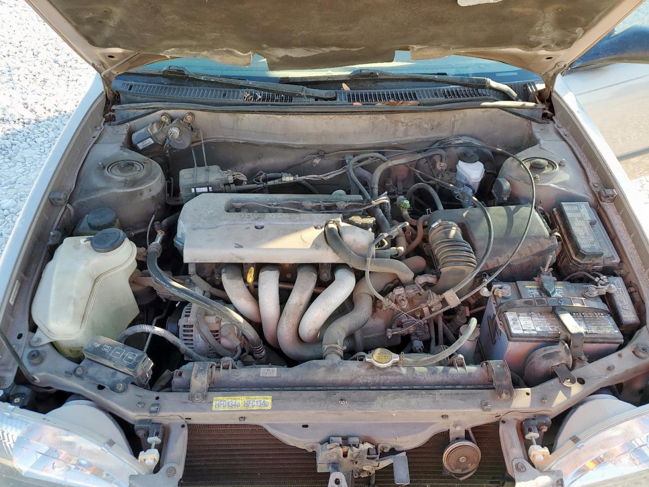 1999 Toyota Corolla VIN: 1NXBR12E8XZ212253 Lot: 82281415