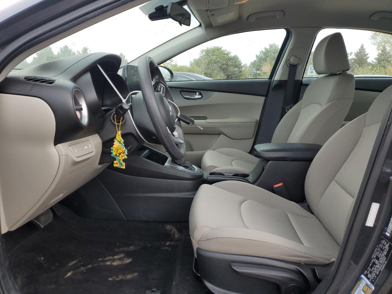 2020 Kia Forte Fe VIN: 3KPF24AD4LE233050 Lot: 85676475