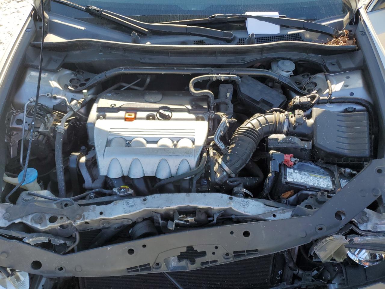 2009 Acura Tsx VIN: JH4CU26619C019823 Lot: 86314595