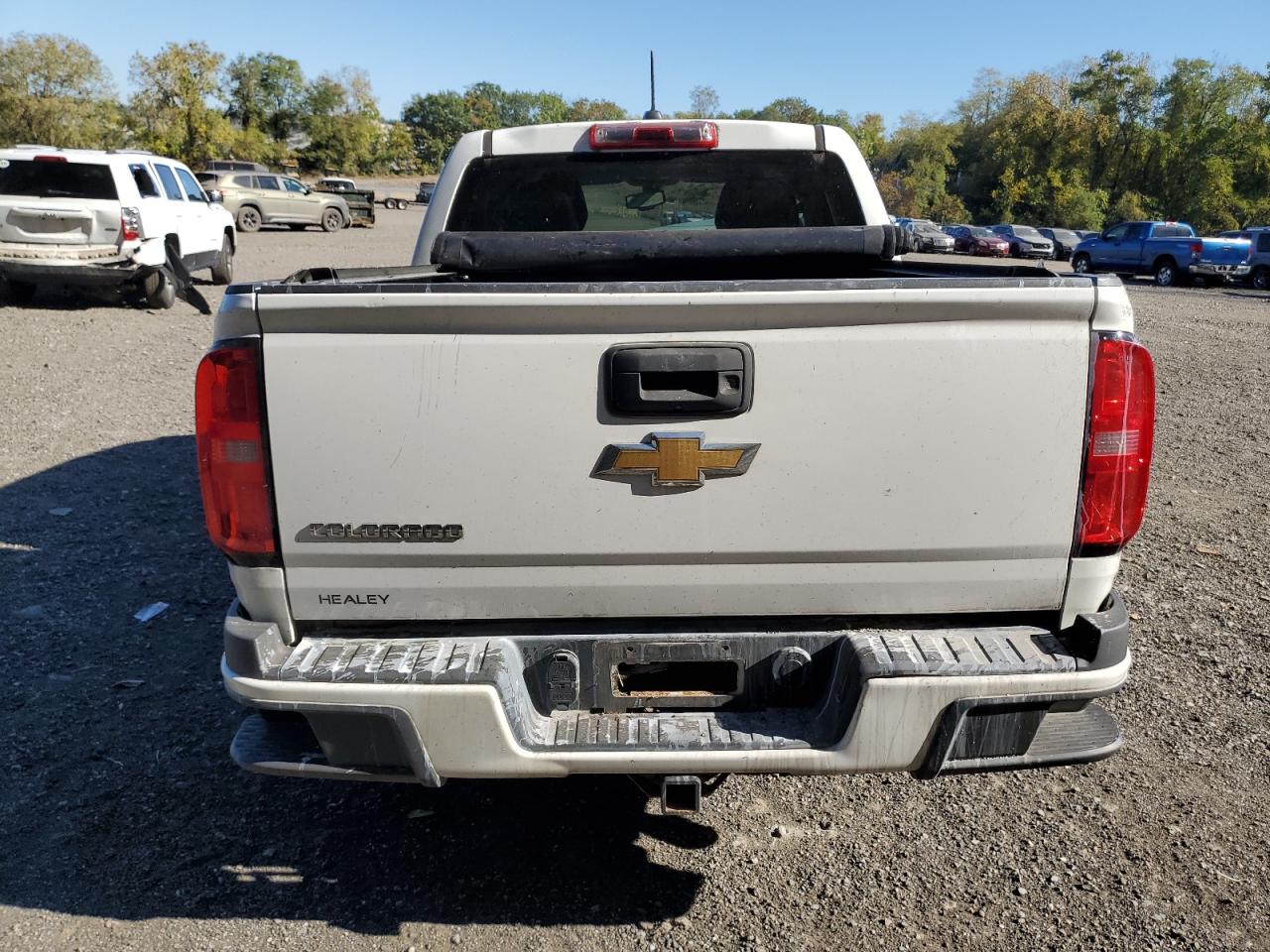 2015 Chevrolet Colorado Z71 VIN: 1GCGTCE3XF1238130 Lot: 82226695