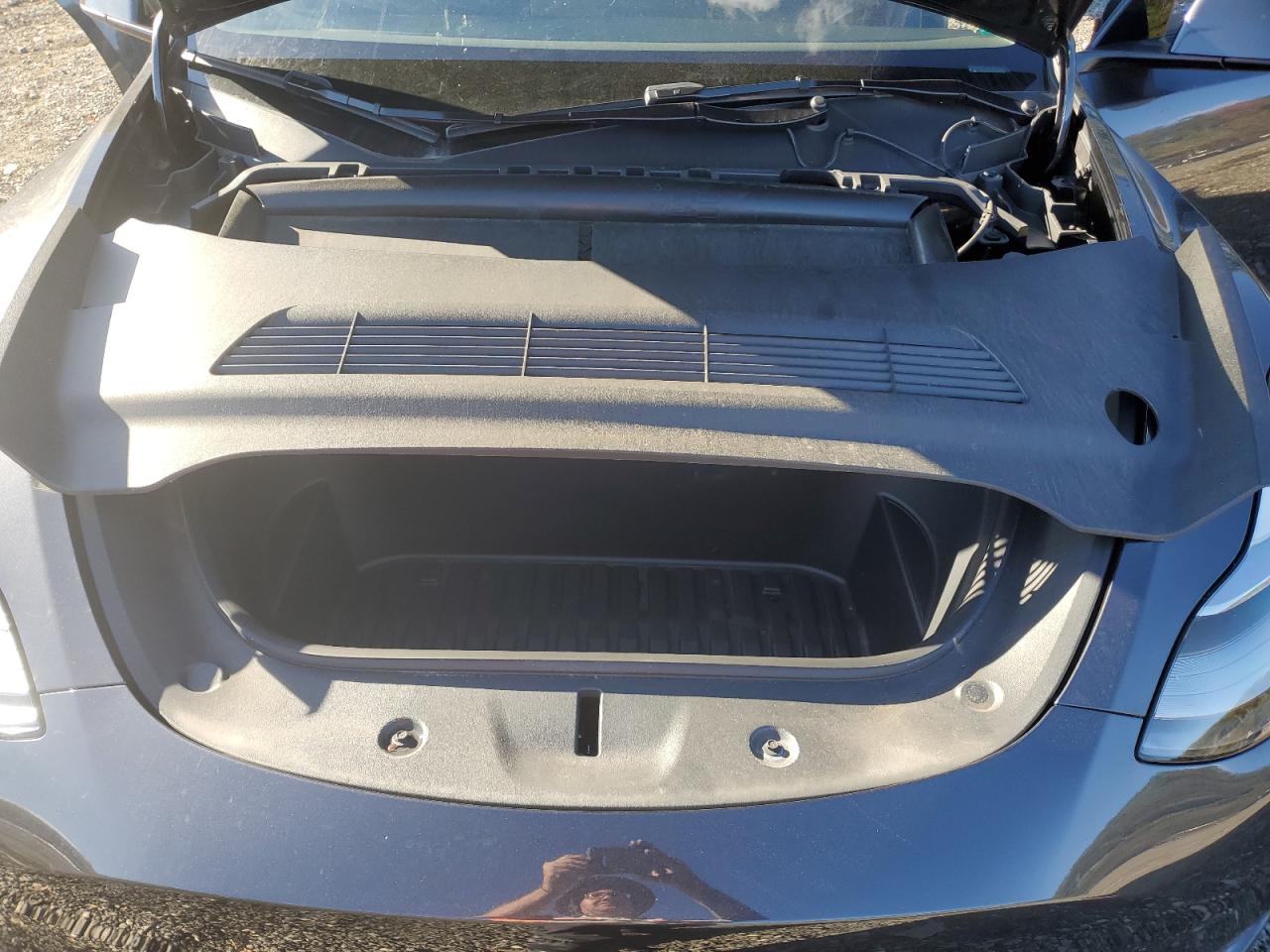 2024 Tesla Model Y VIN: 7SAYGDED5RF008081 Lot: 85262545