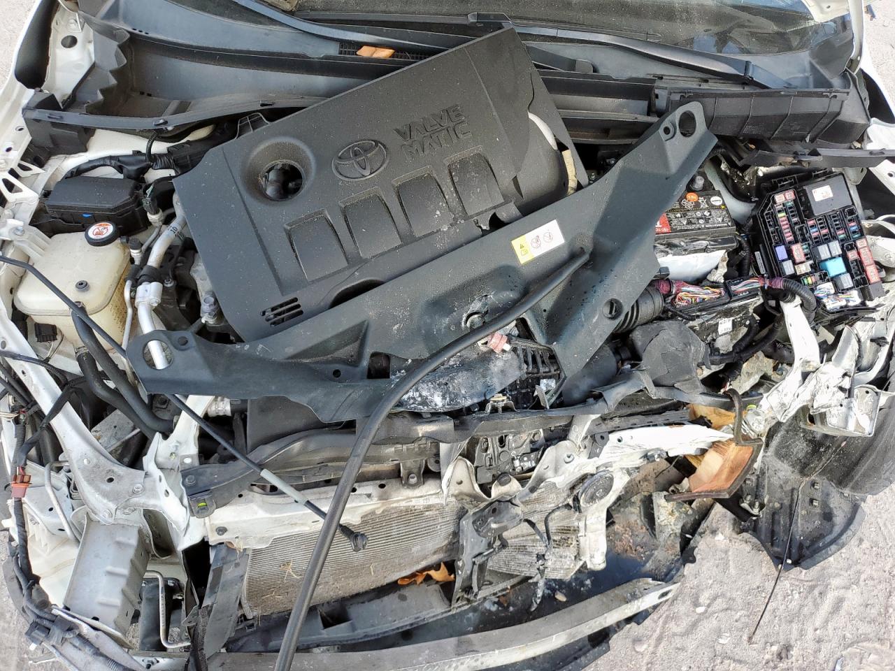 2019 Toyota C-Hr Xle VIN: NMTKHMBX6KR097464 Lot: 84898835