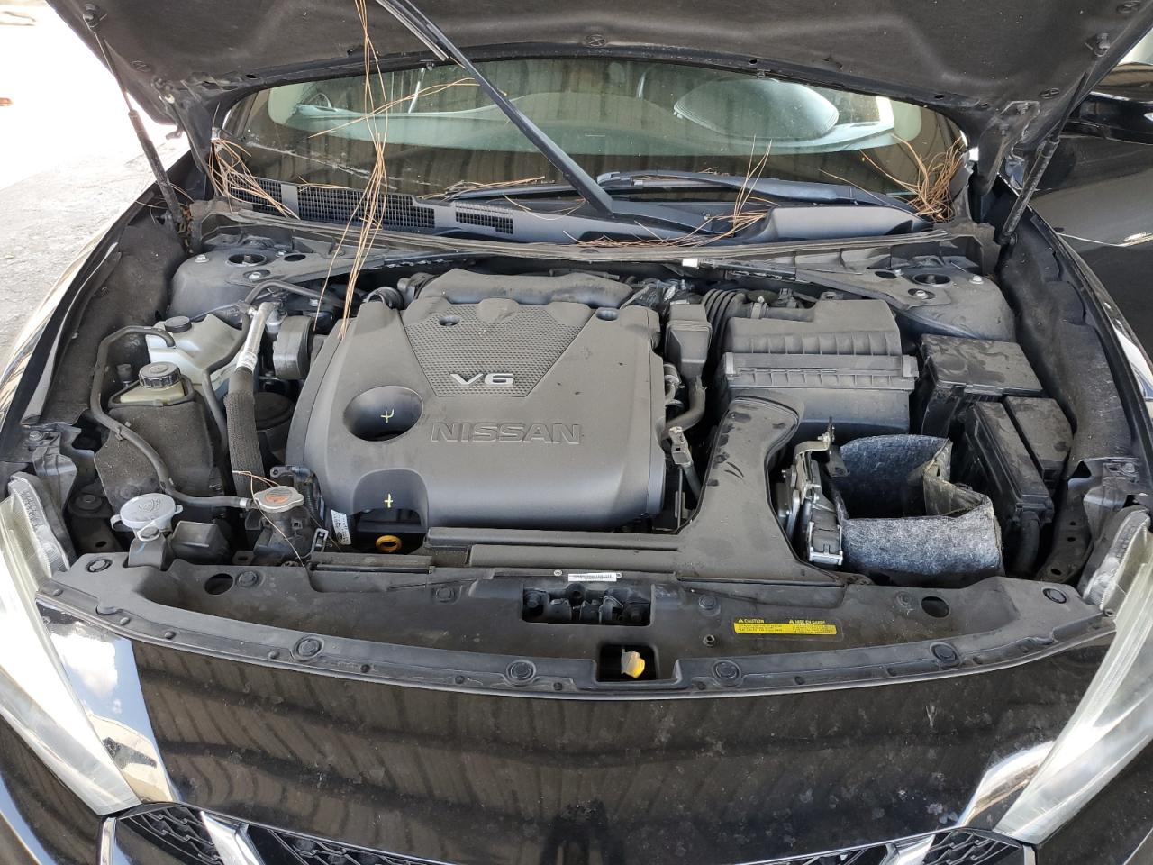 2018 Nissan Maxima 3.5S VIN: 1N4AA6APXJC384066 Lot: 82265695