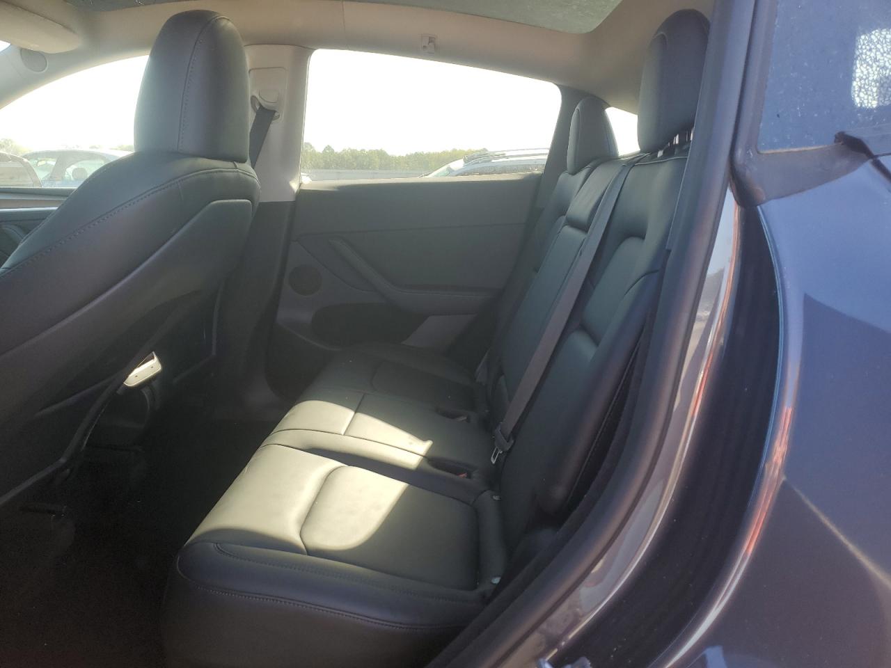 2023 Tesla Model Y VIN: 7SAYGDEF4PF894702 Lot: 84805945