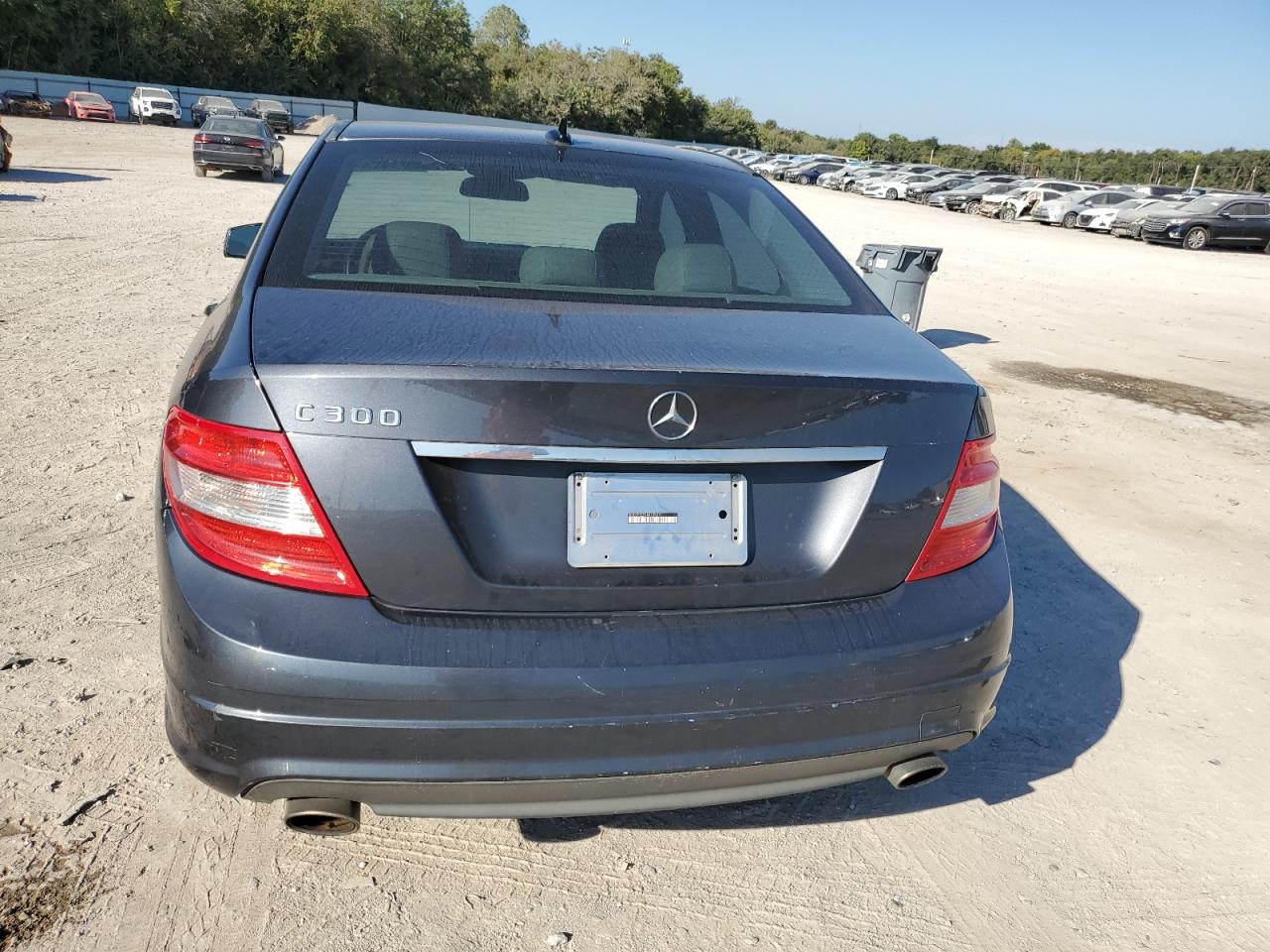 2010 Mercedes-Benz C 300 VIN: WDDGF5EB1AR129811 Lot: 82397935