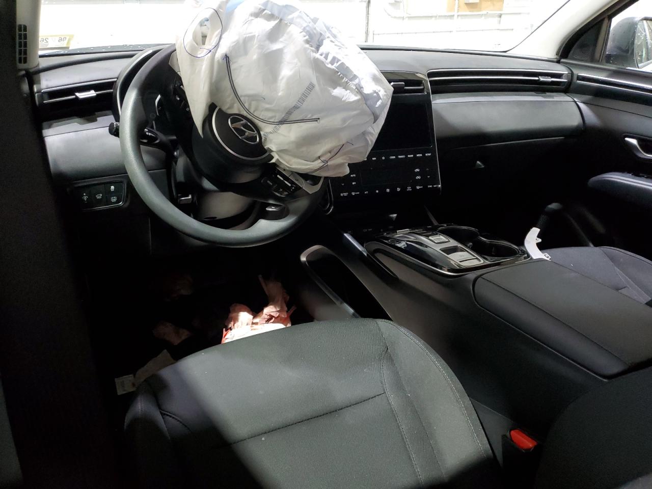 2024 Hyundai Tucson Blue VIN: KM8JBCD10RU183100 Lot: 85697325