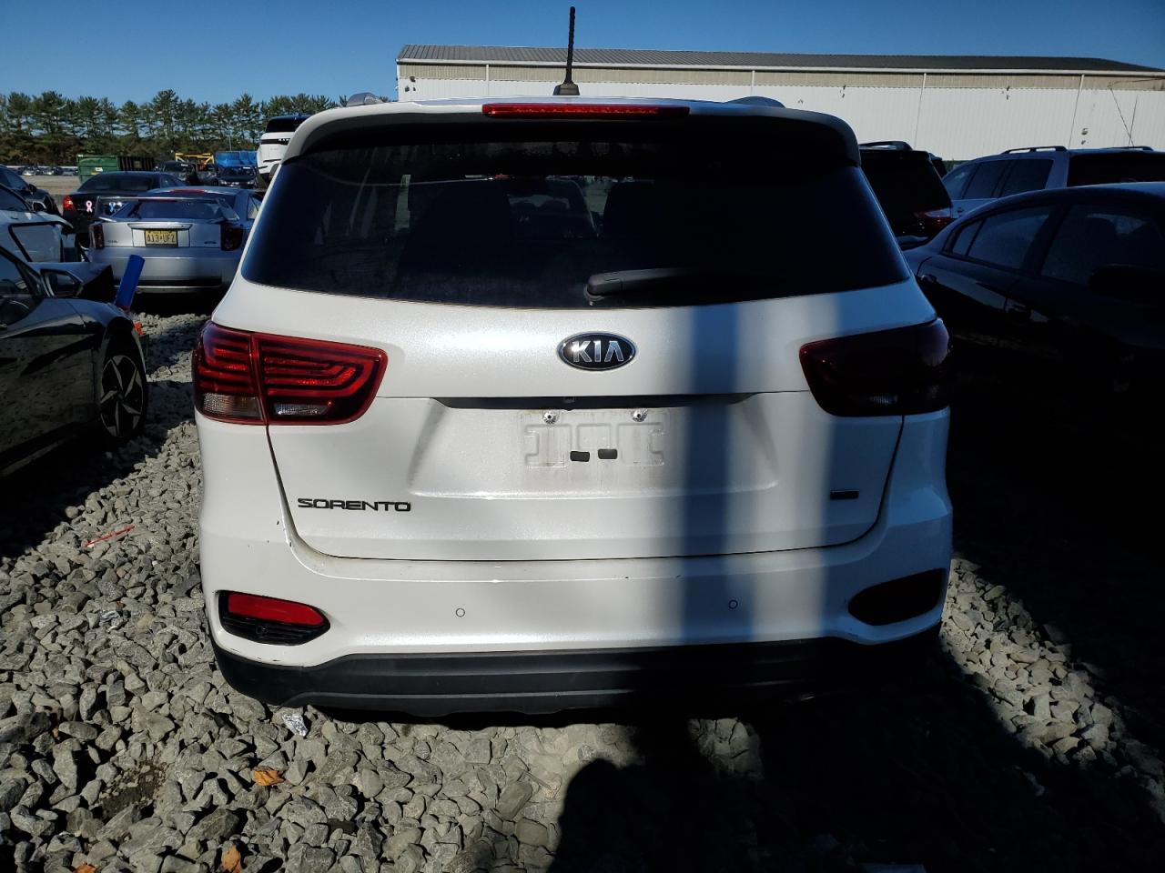 2020 Kia Sorento L VIN: 5XYPG4A33LG649056 Lot: 86075655