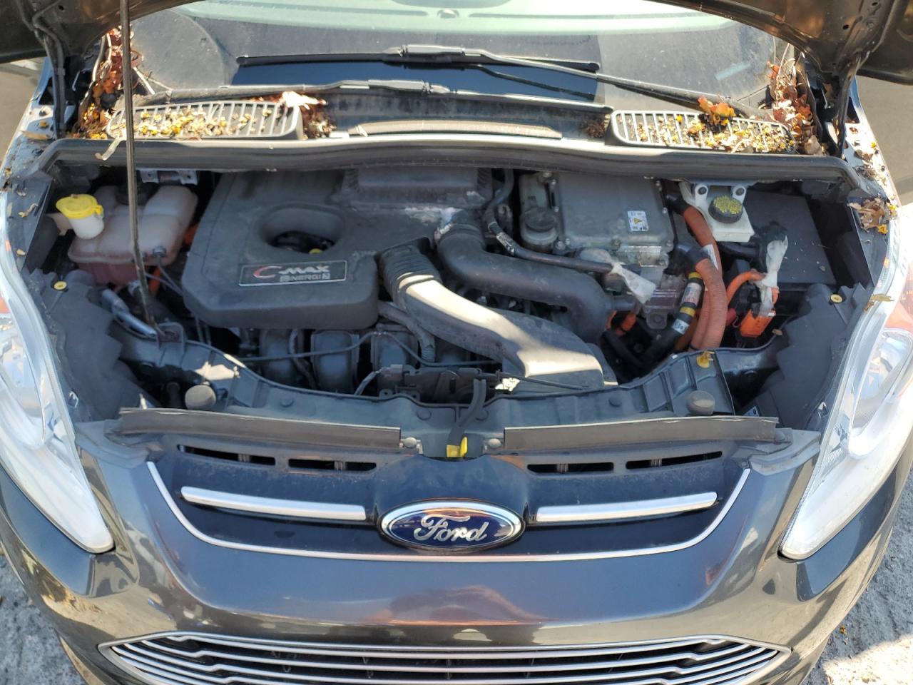 2016 Ford C-Max Premium Sel VIN: 1FADP5CUXGL108813 Lot: 90941895