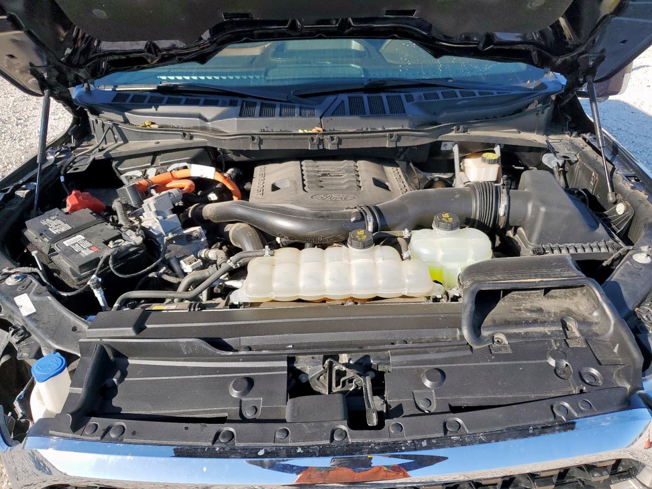 2022 Ford F150 Supercrew VIN: 1FTFW1ED7NFB69687 Lot: 91046645