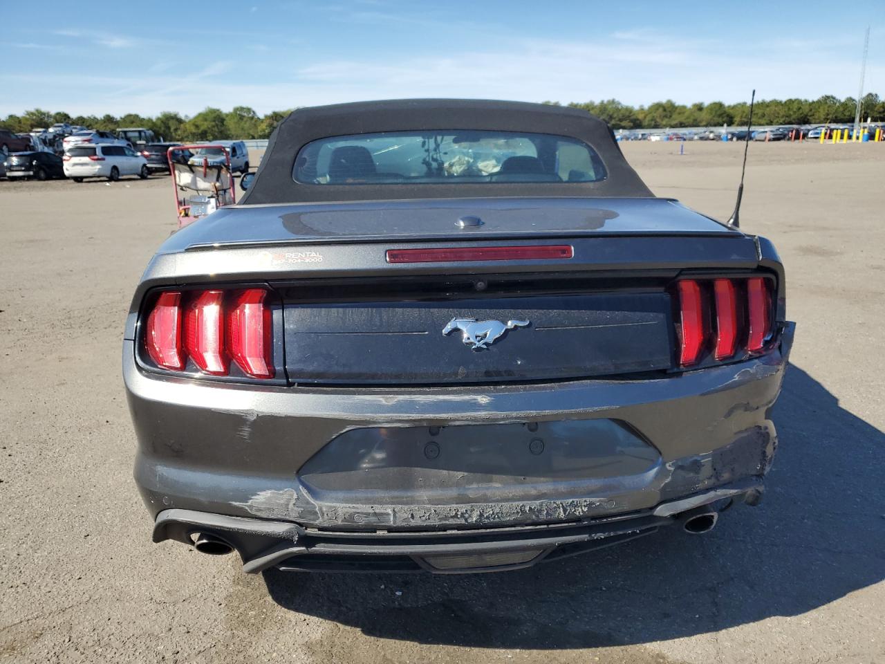 2020 Ford Mustang VIN: 1FATP8UH9L5125664 Lot: 81608035