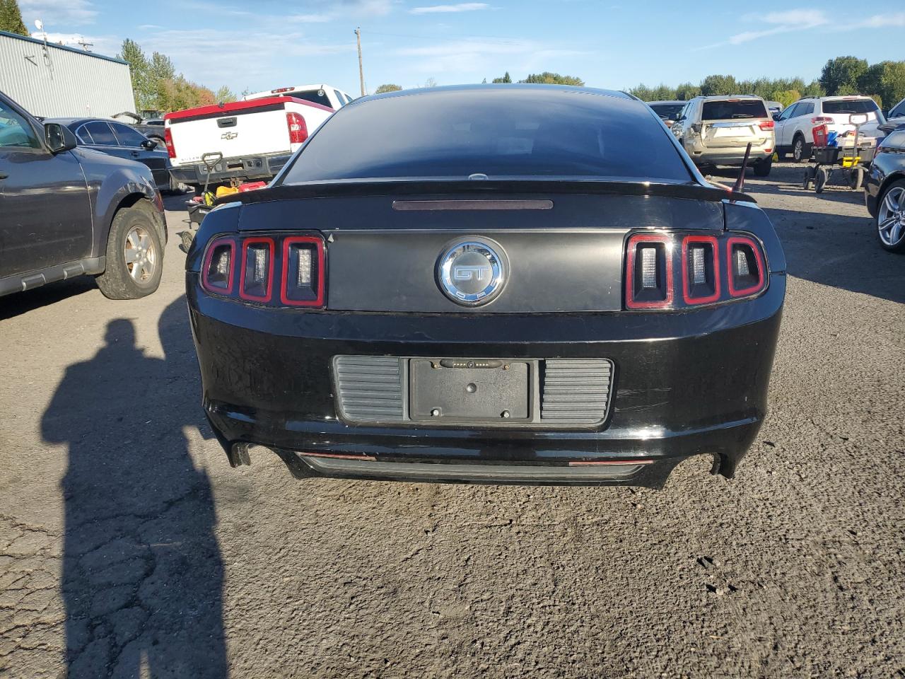 2013 Ford Mustang Gt VIN: 1ZVBP8CFXD5284486 Lot: 87083075