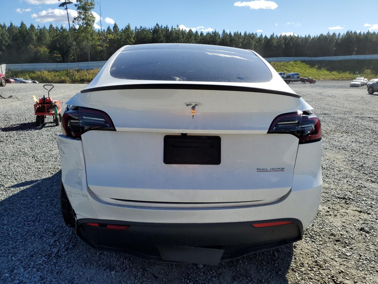 2025 Tesla Model Y VIN: 7SAYGDEF1SA344167 Lot: 82426285
