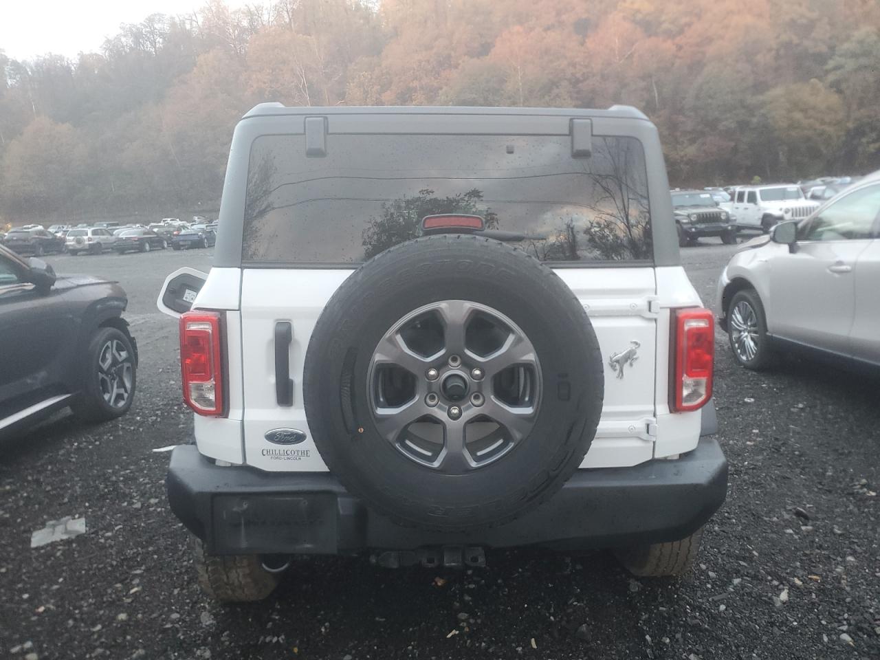 2023 Ford Bronco Base VIN: 1FMEE5BP4PLB58778 Lot: 91053885