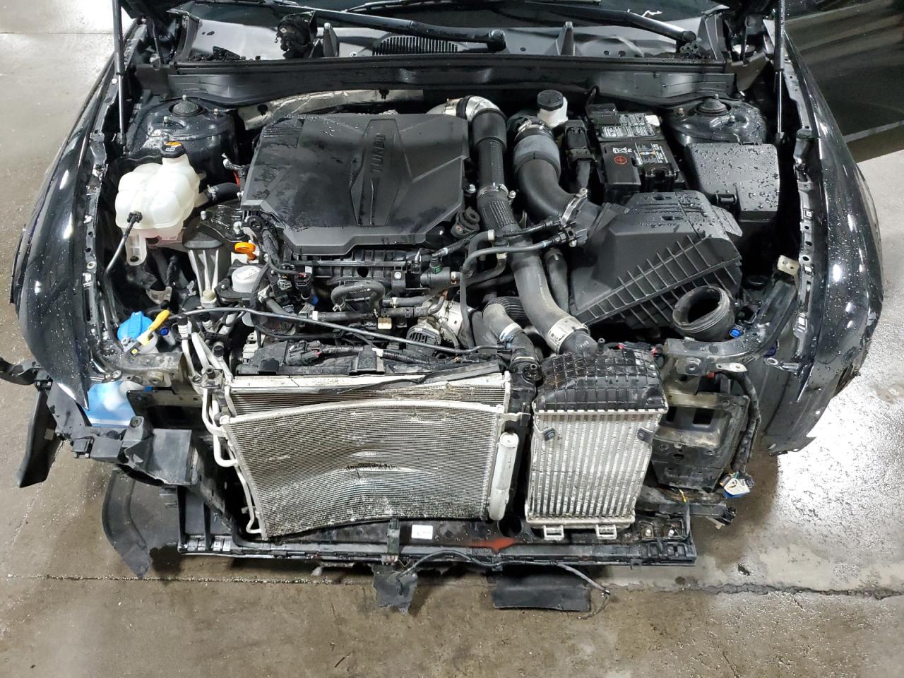 2021 Hyundai Sonata N Line VIN: 5NPEK4JC7MH106244 Lot: 85572475