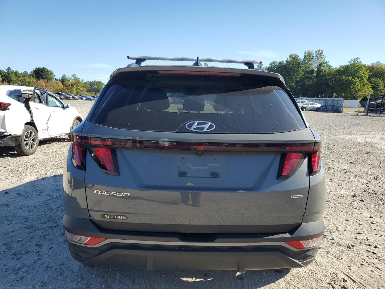 2024 Hyundai Tucson Sel VIN: 5NMJBCDE8RH424237 Lot: 70343645