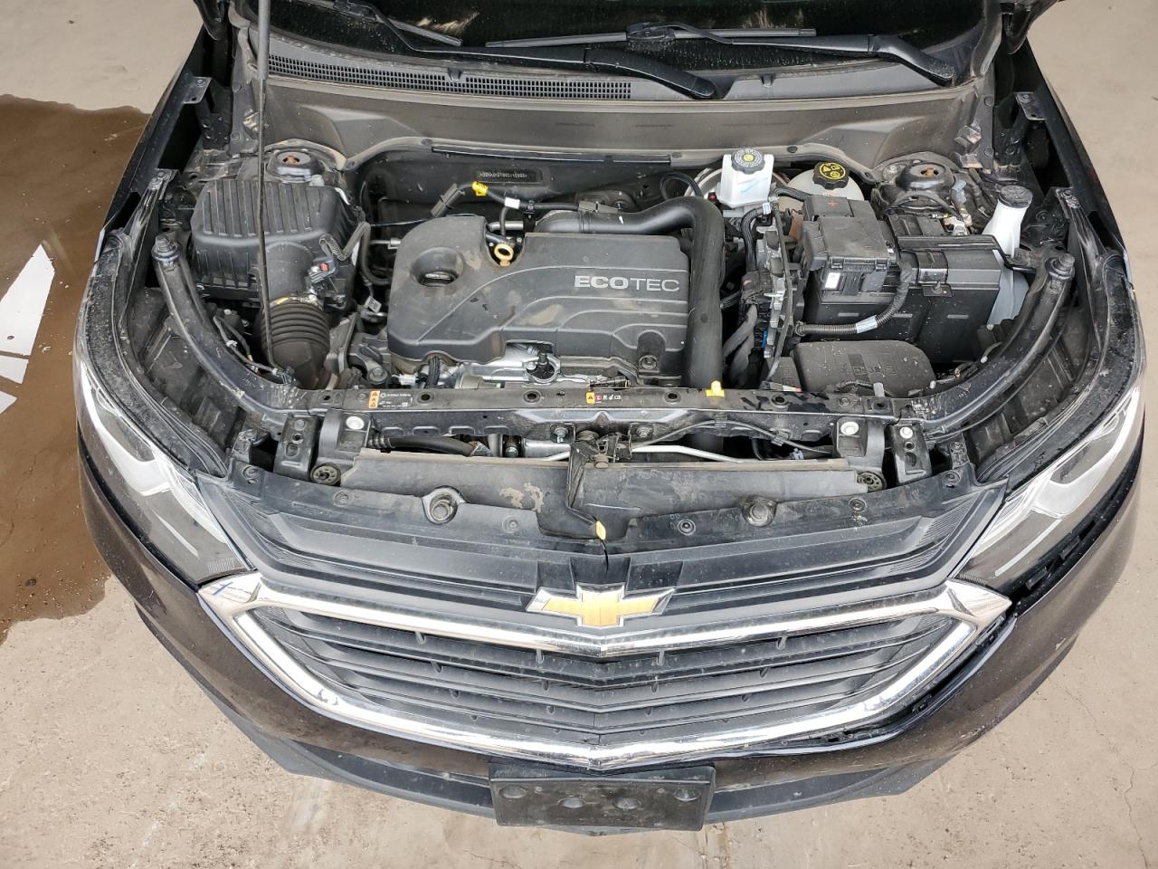 2021 Chevrolet Equinox Lt VIN: 3GNAXKEV8MS146989 Lot: 82435655