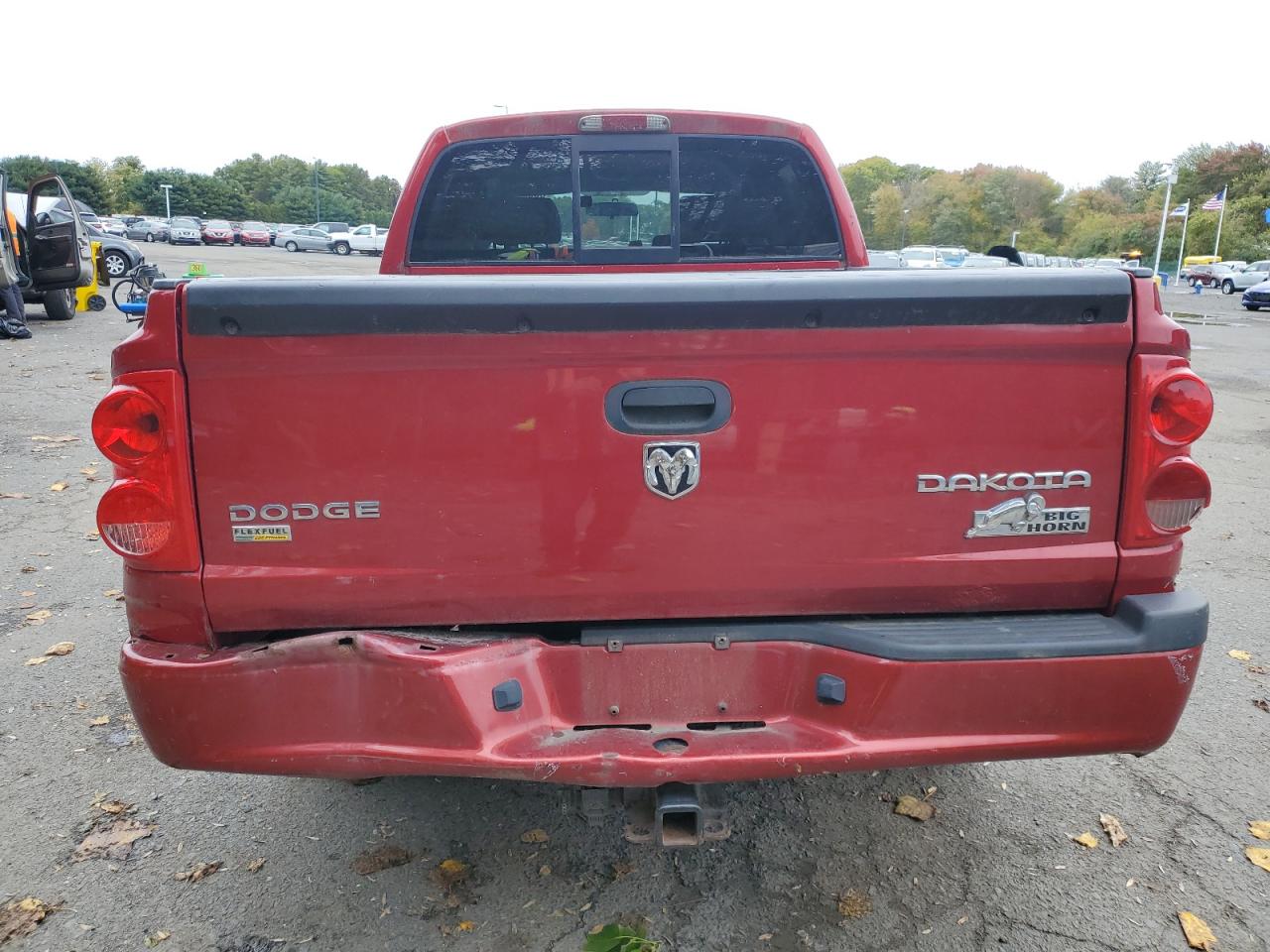 2010 Dodge Dakota Sxt VIN: 1D7CW3GP8AS135738 Lot: 86528515