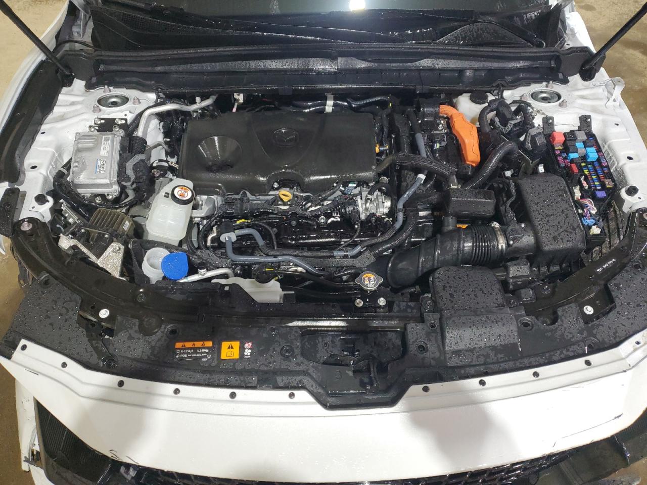 2025 Mazda Cx-50 Premium Plus VIN: 7MMVAAEW9SN131813 Lot: 89638745