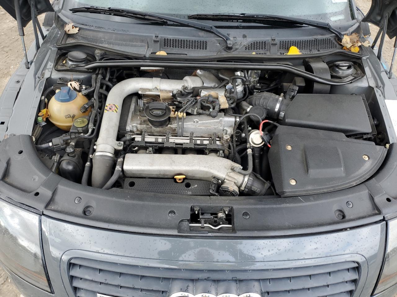 Фото: TRUUT28N211008364