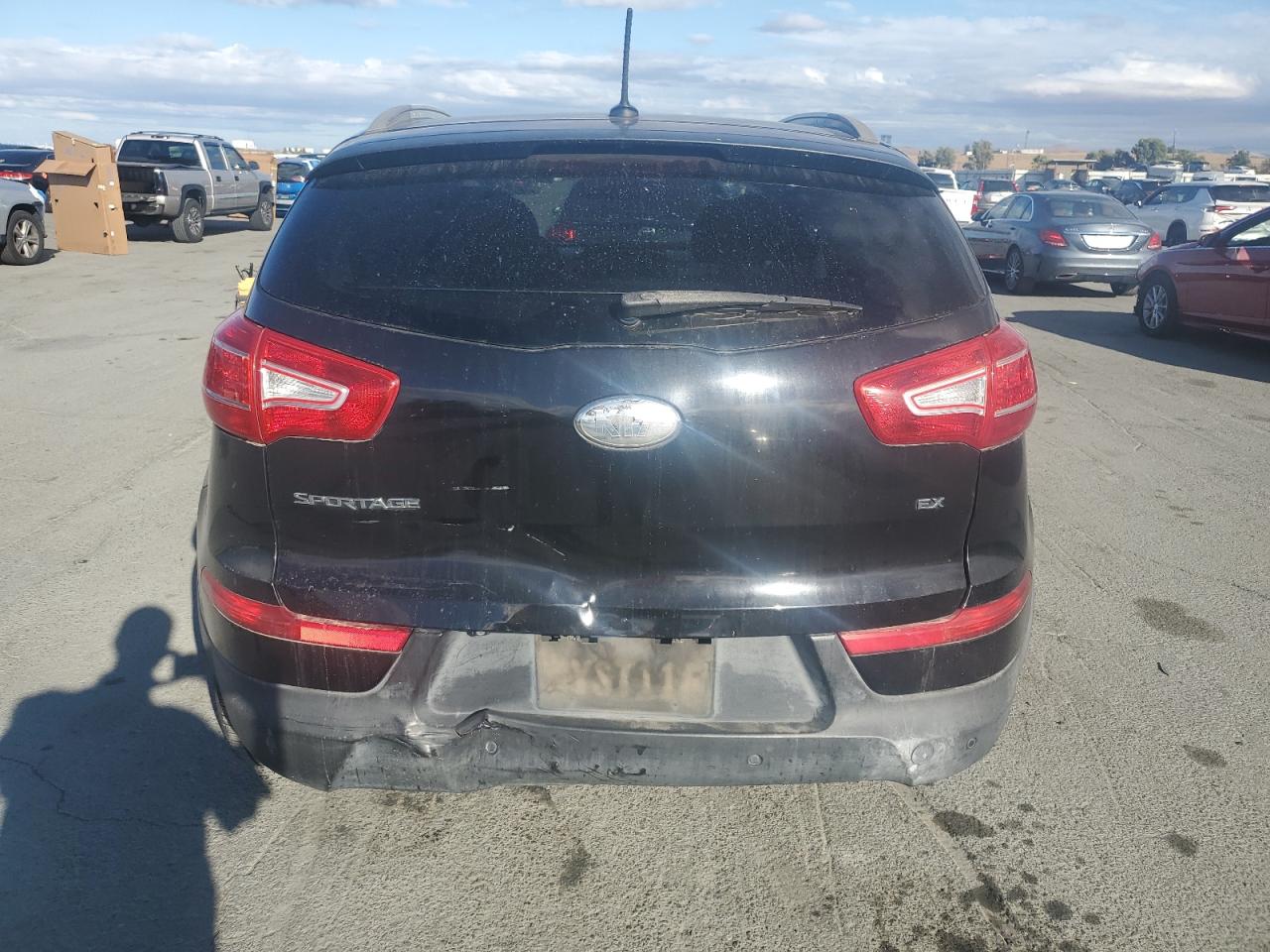 2013 Kia Sportage Ex VIN: KNDPC3A29D7398393 Lot: 81909045